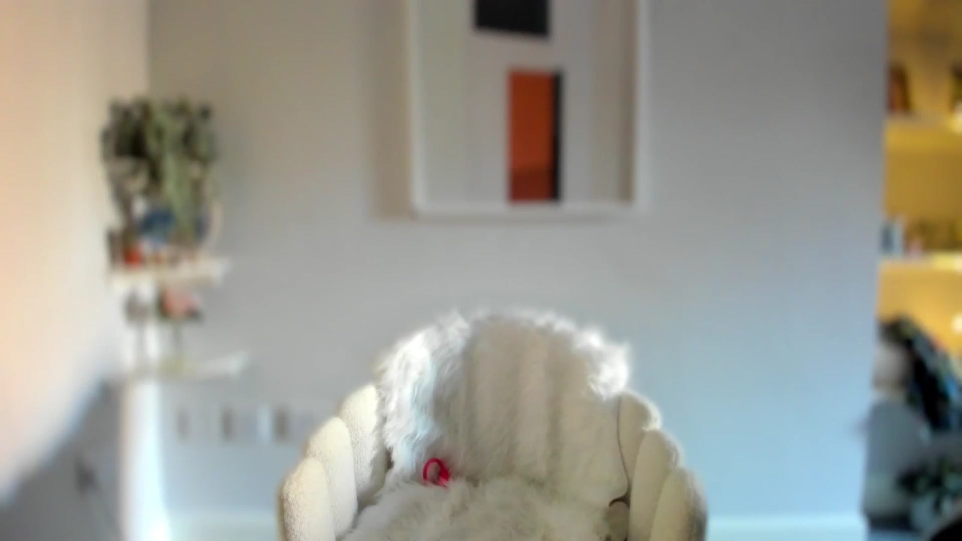 Gallery image thumbnail from AvaCutie's myfreecams stream on, 04/07/2026, 11:07 image 8 of 20