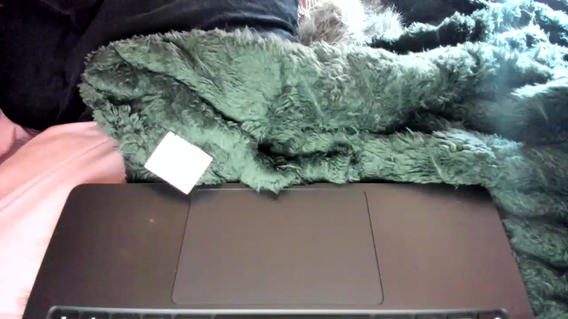 Gallery image thumbnail from AvaCutie's myfreecams stream on, 04/19/2026, 09:22 image 8 of 20