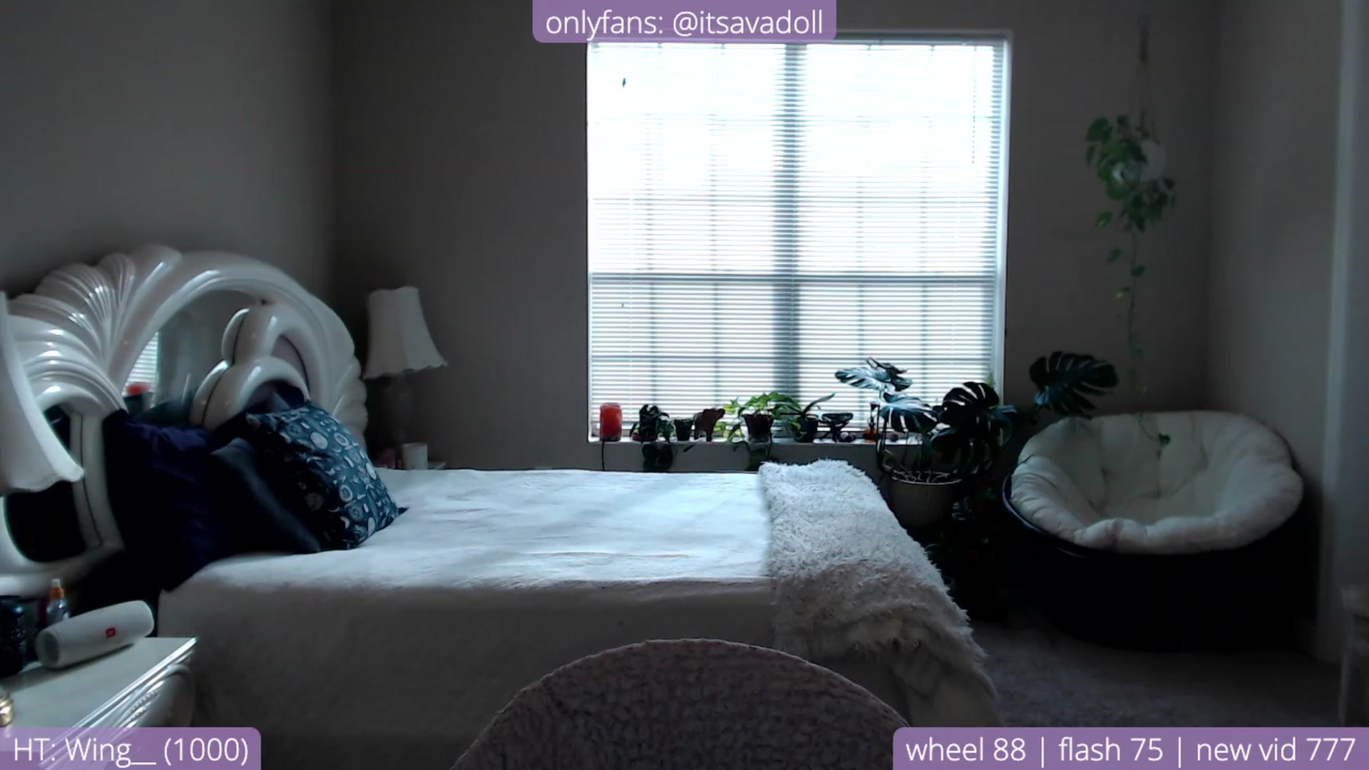 Gallery image thumbnail from AvaDollxo's myfreecams stream on, 11/28/2023, 20:34 image 18 of 20