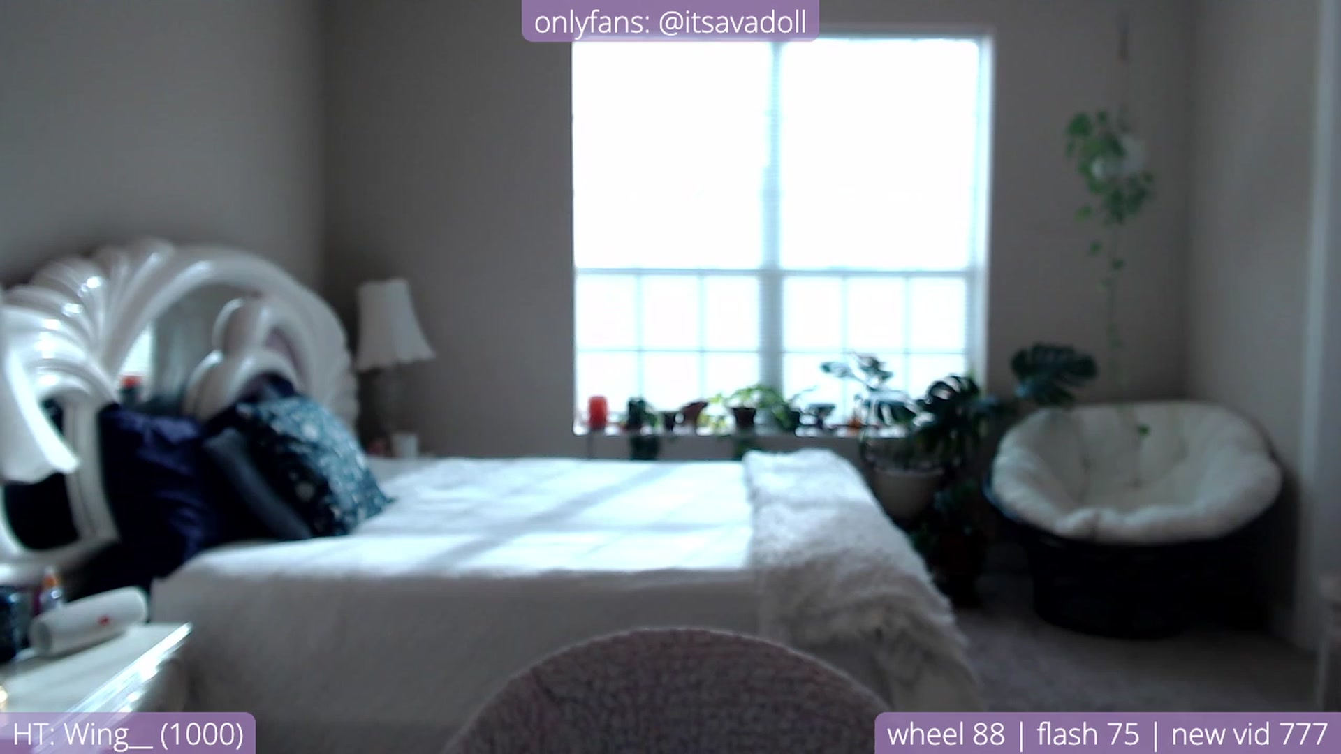 Gallery image thumbnail from AvaDollxo's myfreecams stream on, 11/28/2023, 20:34 image 17 of 20