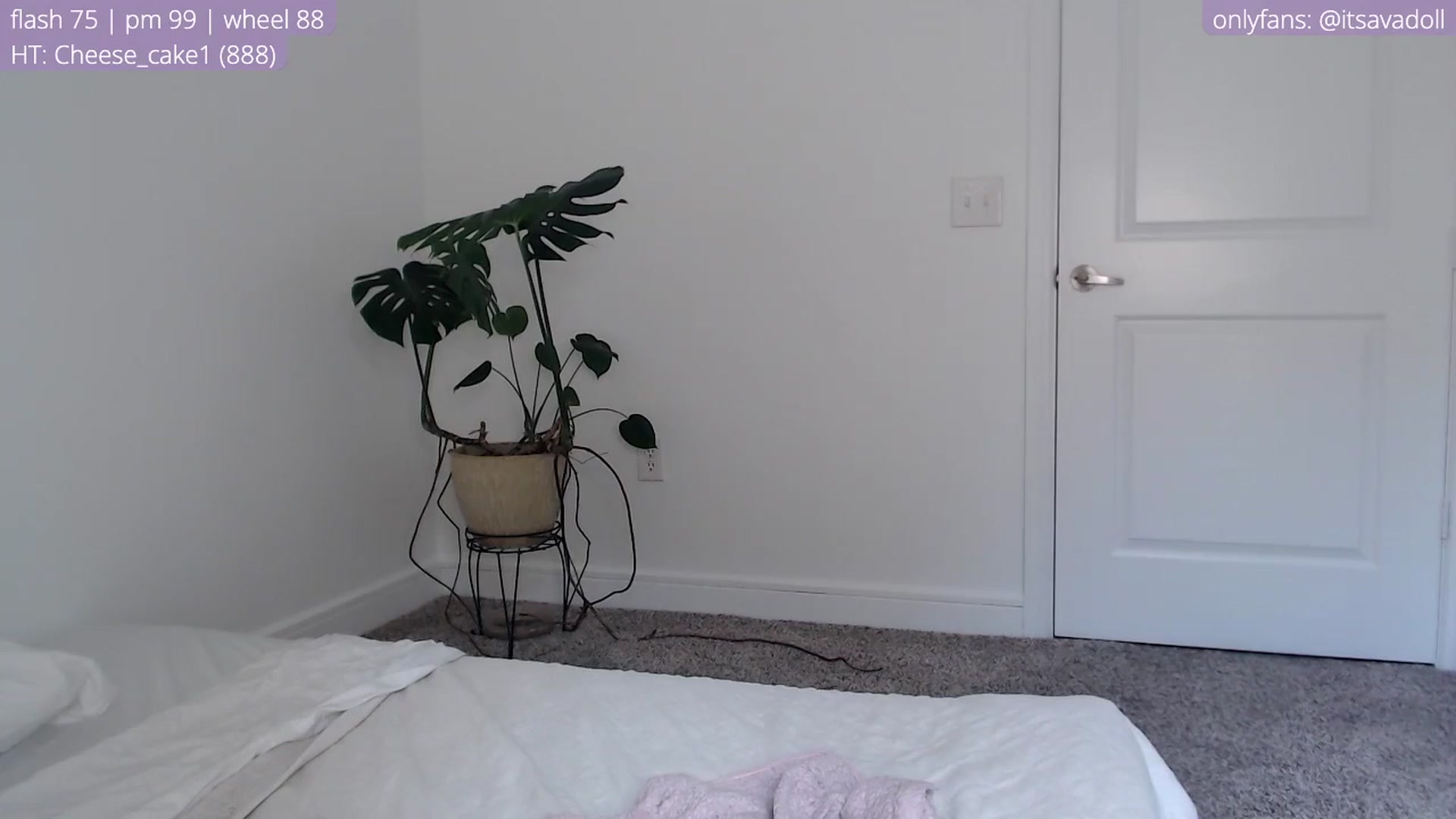 Gallery image thumbnail from AvaDollxo's myfreecams stream on, 04/14/2024, 21:00 image 15 of 20