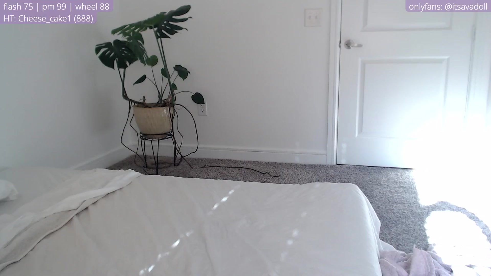 Gallery image thumbnail from AvaDollxo's myfreecams stream on, 04/14/2024, 22:35 image 5 of 20