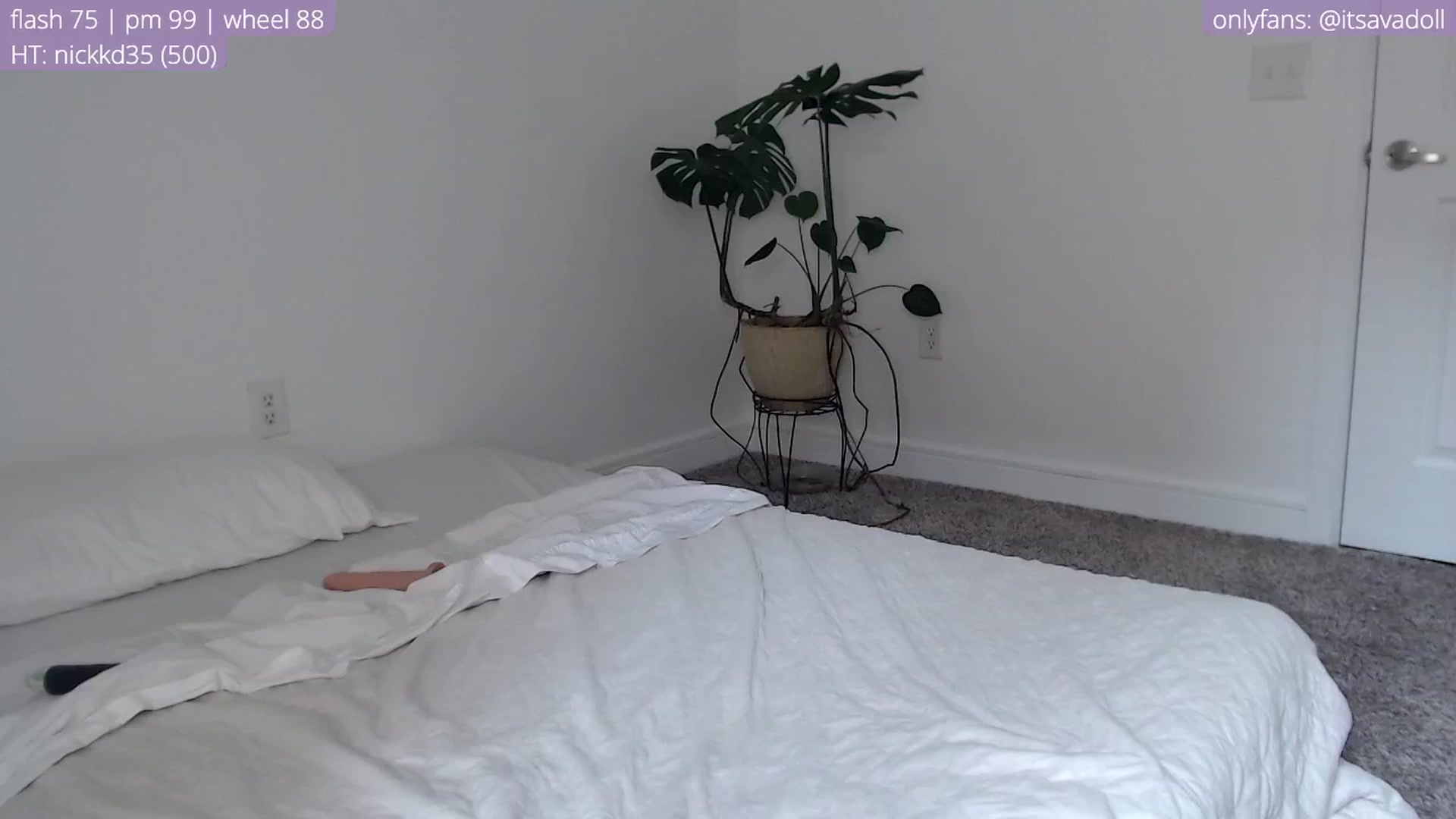 Gallery image thumbnail from AvaDollxo's myfreecams stream on, 04/16/2024, 22:34 image 12 of 20