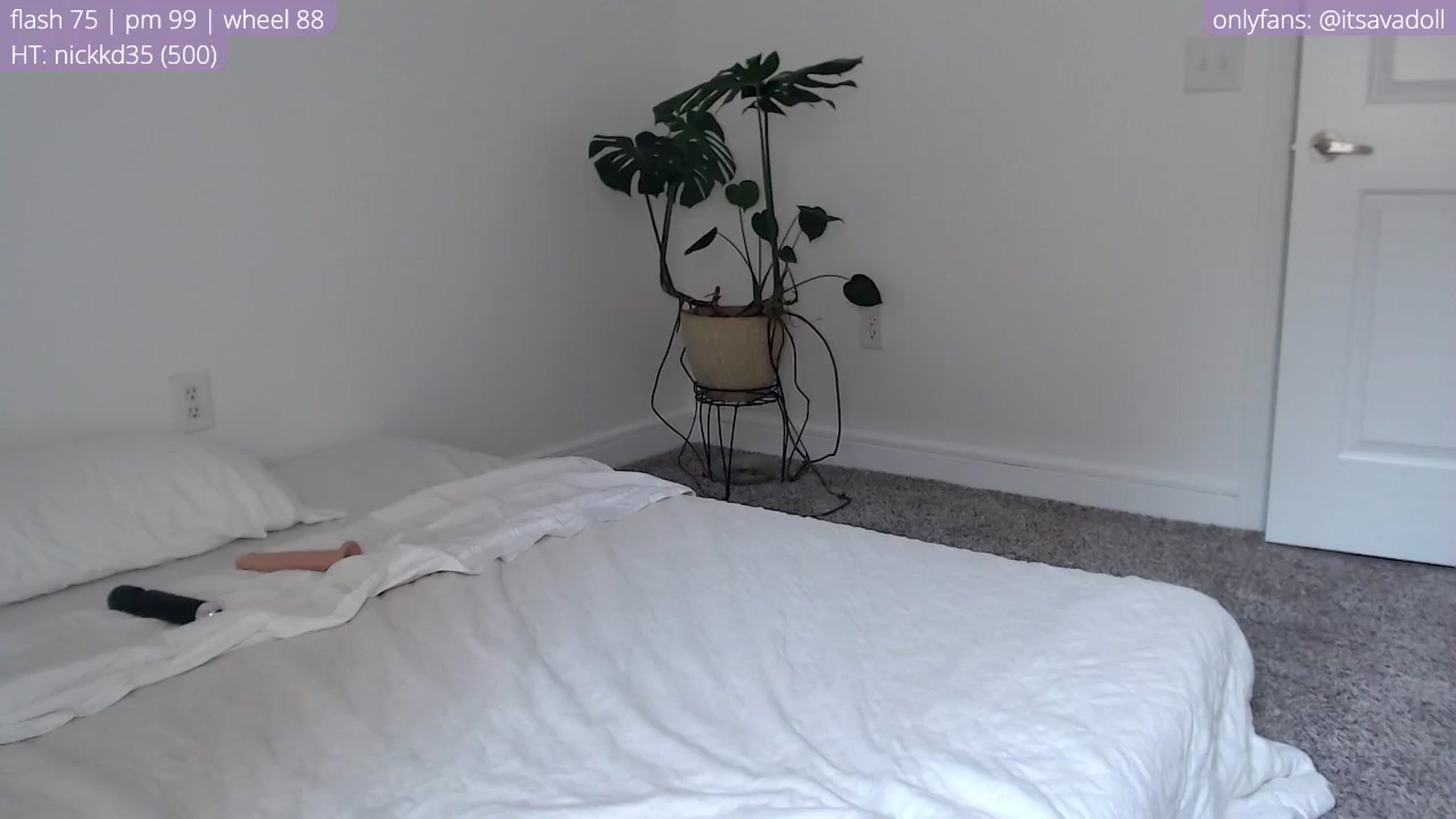 Gallery image thumbnail from AvaDollxo's myfreecams stream on, 04/16/2024, 22:34 image 3 of 20