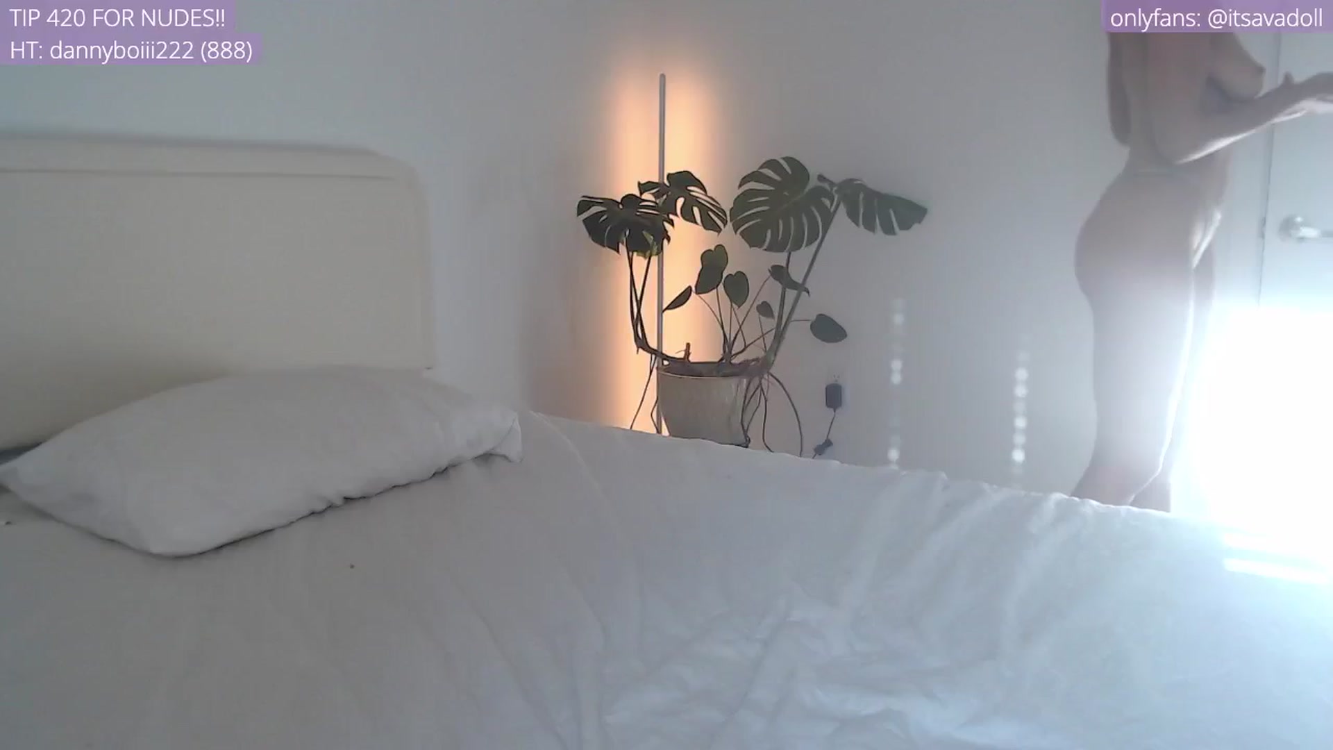 Gallery image thumbnail from AvaDollxo's myfreecams stream on, 04/29/2024, 23:15 image 9 of 20