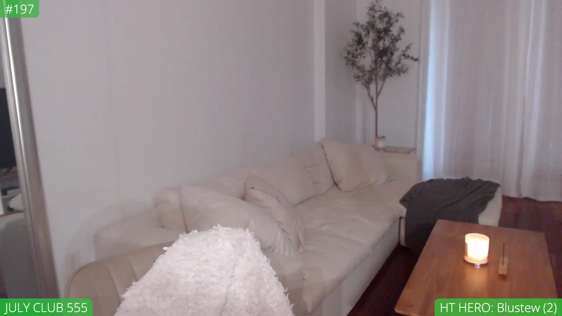 Gallery image thumbnail from AvaDollxo's myfreecams stream on, 07/23/2024, 21:39 image 5 of 20
