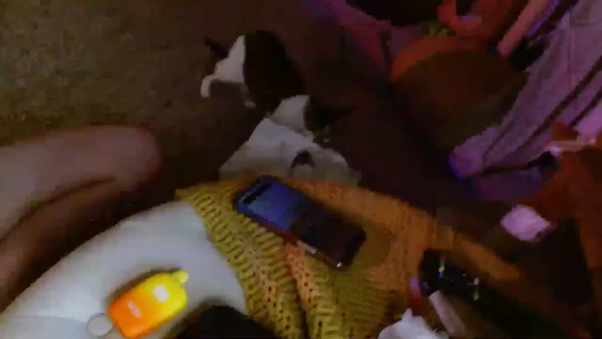 Gallery image thumbnail from AvaMonroe_'s myfreecams stream on, 07/27/2023, 05:07 image 3 of 20