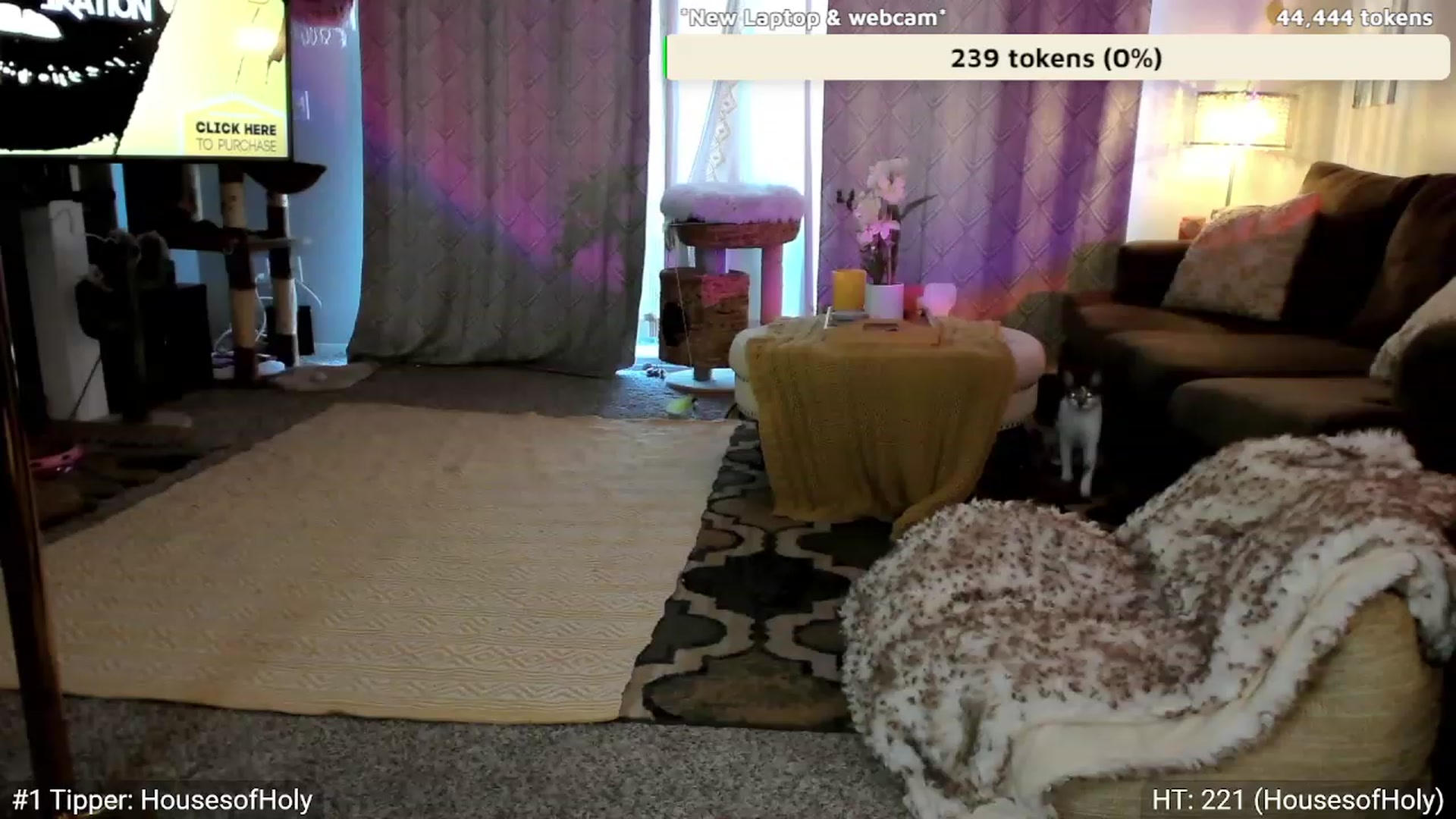 Gallery image thumbnail from AvaMonroe_'s myfreecams stream on, 10/18/2023, 24:57 image 12 of 20