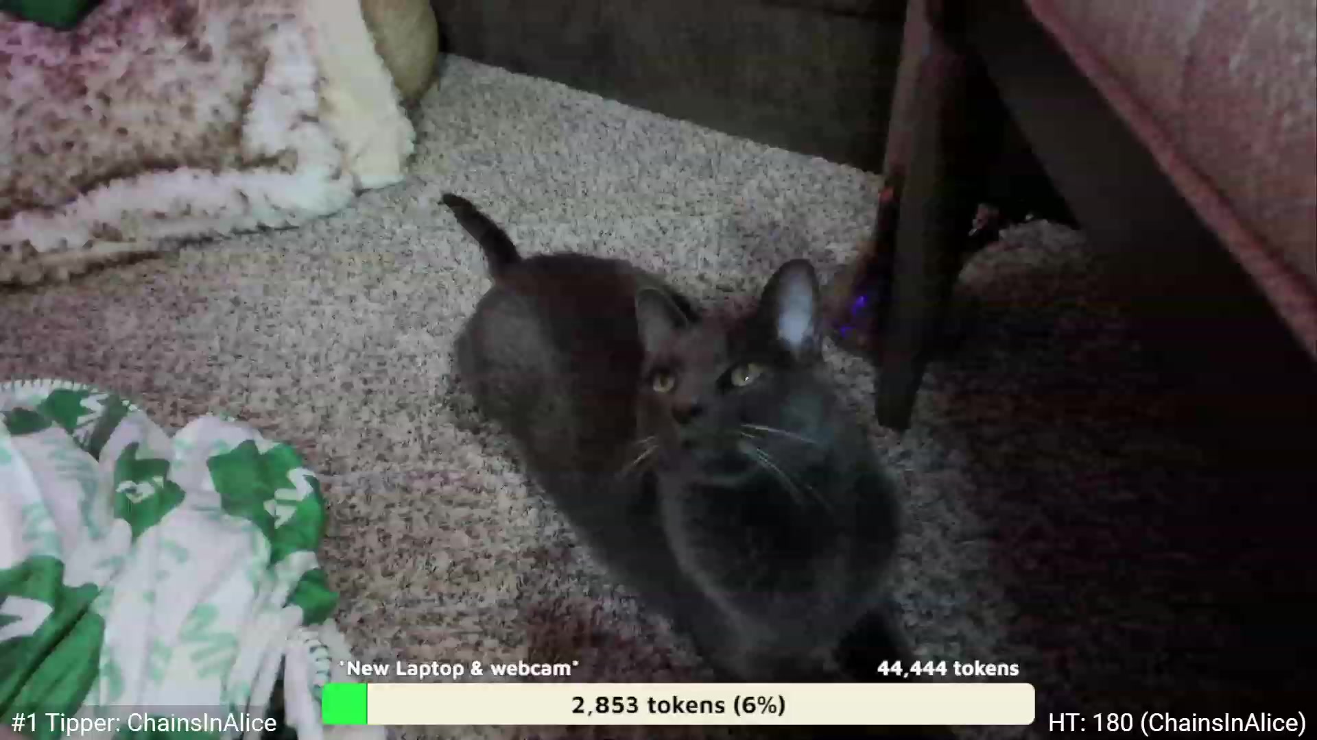 Gallery image thumbnail from AvaMonroe_'s myfreecams stream on, 10/20/2023, 08:16 image 15 of 20