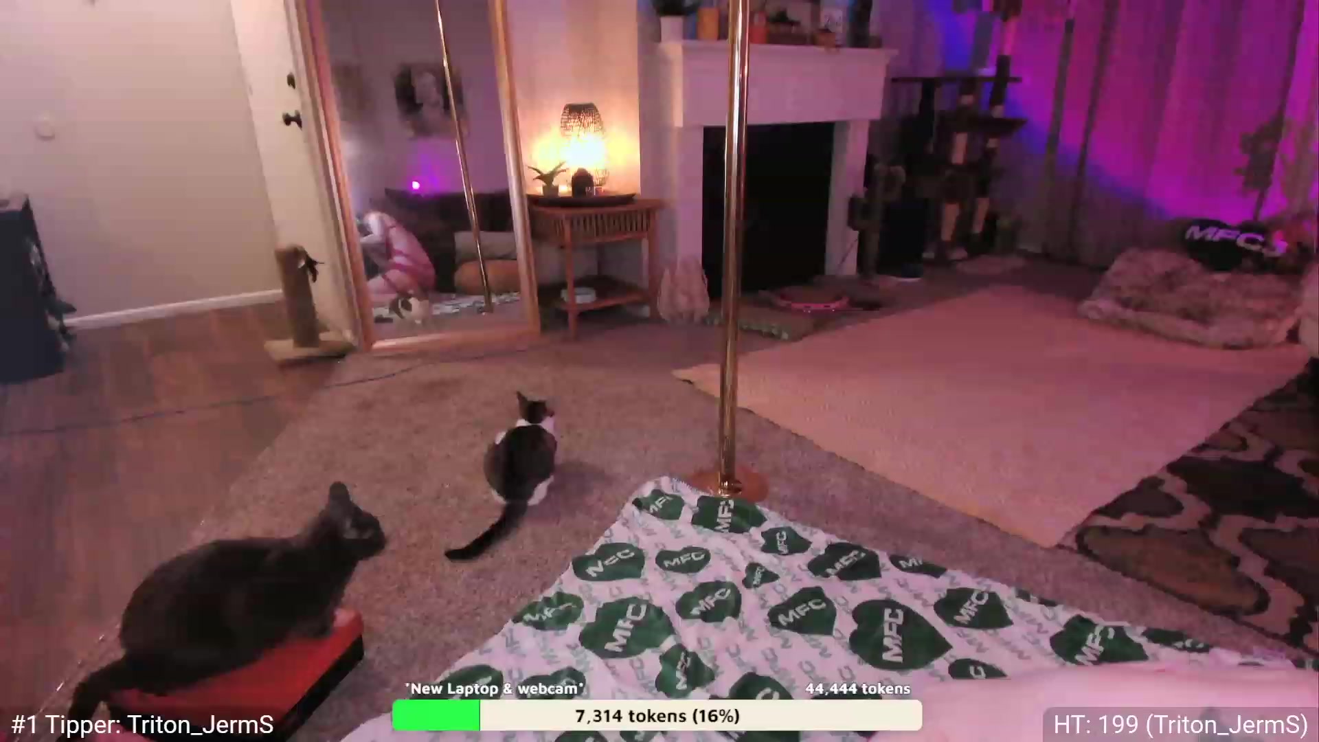 Gallery image thumbnail from AvaMonroe_'s myfreecams stream on, 10/26/2023, 02:43 image 5 of 20