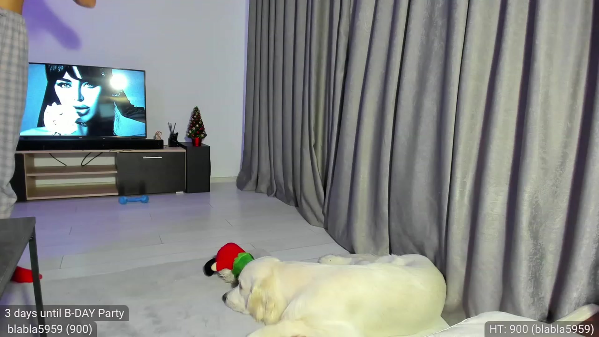 Gallery image thumbnail from AvaMoonlight's myfreecams stream on, 12/07/2022, 24:20 image 16 of 20