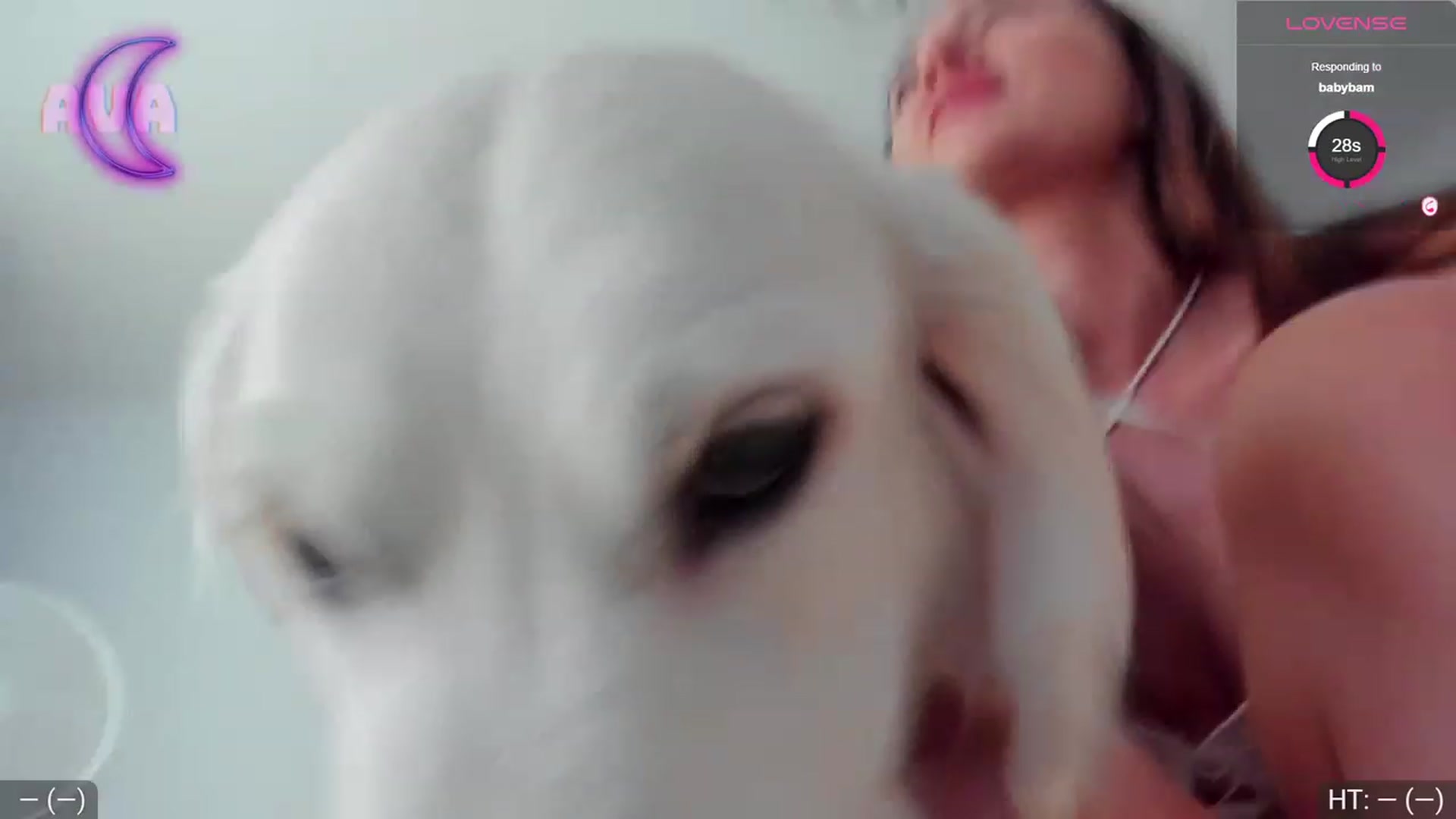 Gallery image thumbnail from AvaMoonlight's myfreecams stream on, 08/31/2023, 15:58 image 15 of 20