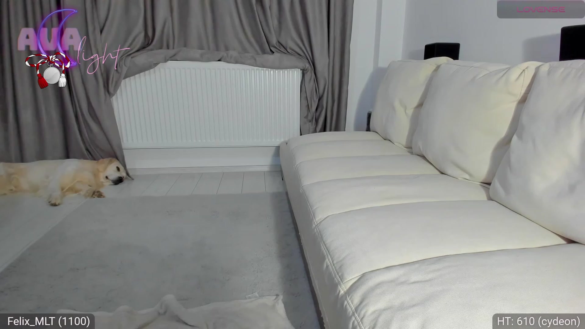 Gallery image thumbnail from AvaMoonlight's myfreecams stream on, 03/07/2024, 24:48 image 6 of 20