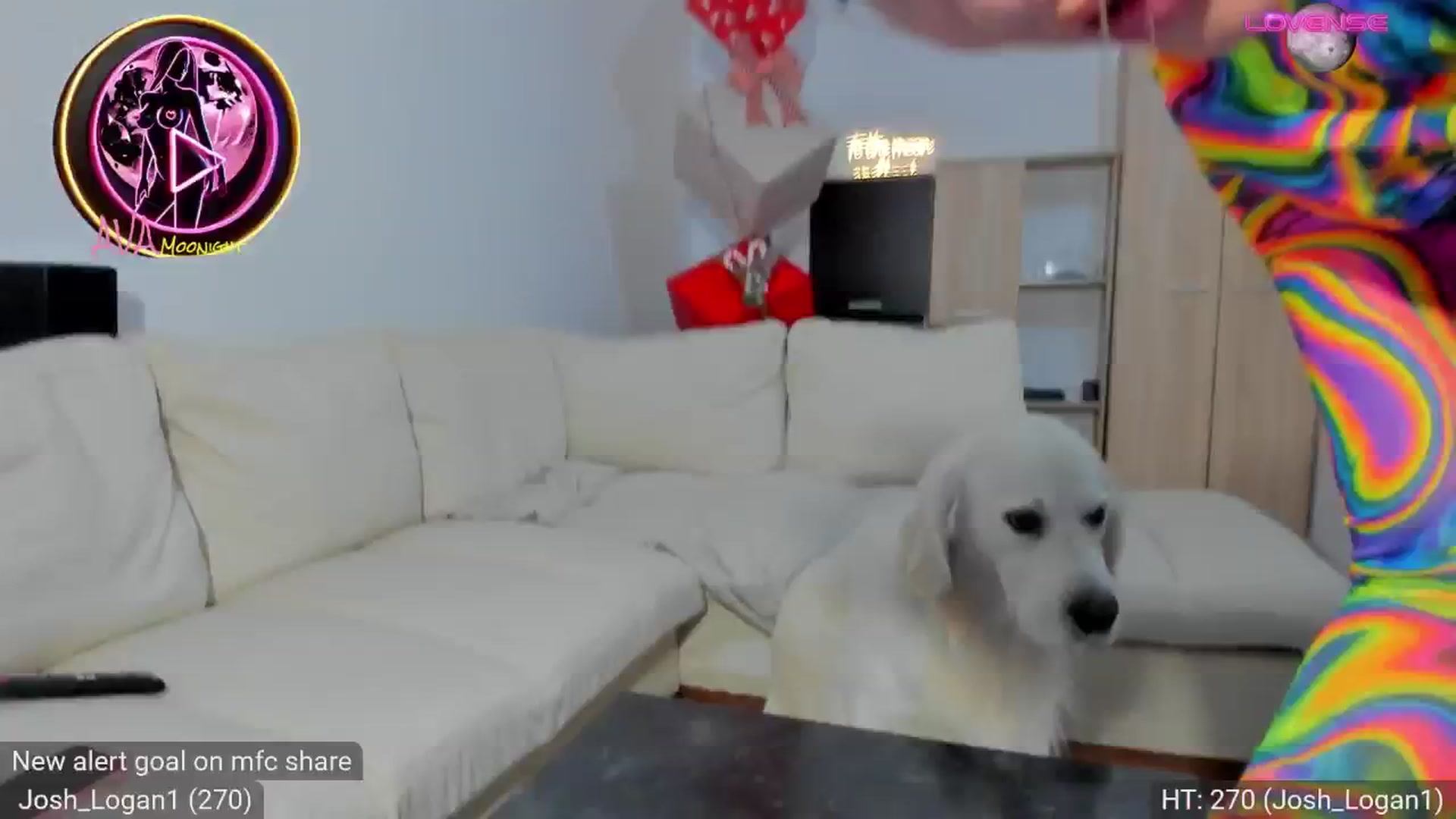 Gallery image thumbnail from AvaMoonlight's myfreecams stream on, 11/26/2024, 24:02 image 20 of 20
