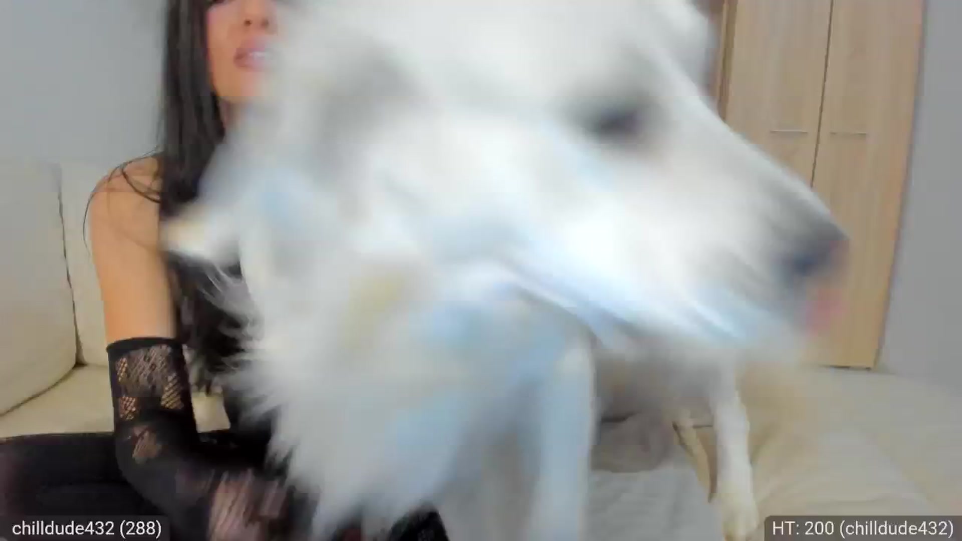 Gallery image thumbnail from AvaMoonlight's myfreecams stream on, 02/06/2025, 17:01 image 2 of 20