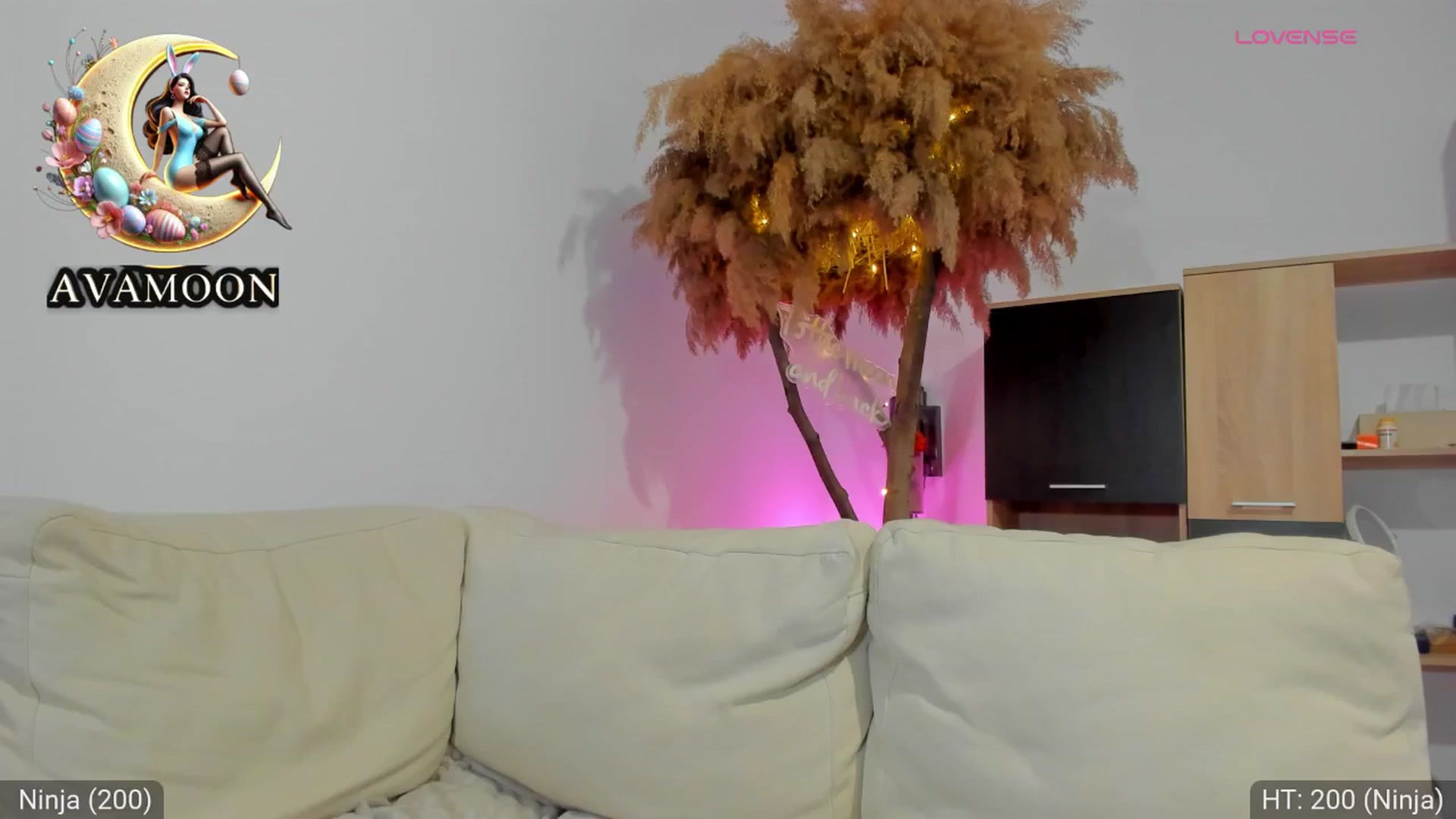 Gallery image thumbnail from AvaMoonlight's myfreecams stream on, 03/26/2025, 16:19 image 20 of 20
