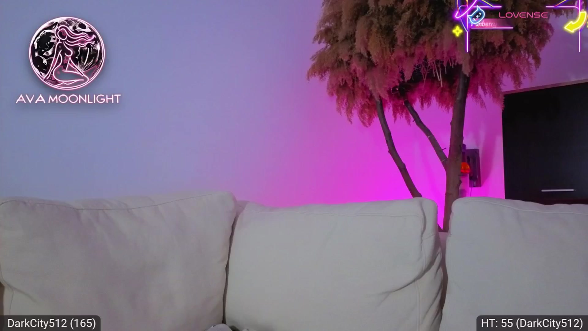 Gallery image thumbnail from AvaMoonlight's myfreecams stream on, 06/24/2025, 24:05 image 11 of 20