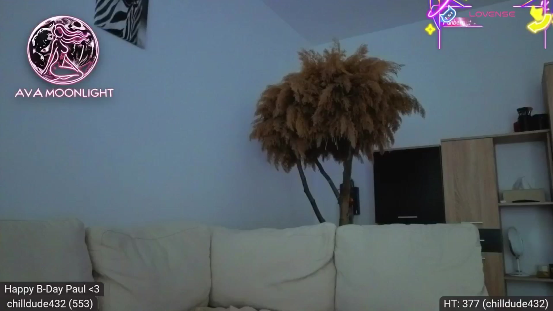 Gallery image thumbnail from AvaMoonlight's myfreecams stream on, 06/29/2025, 16:05 image 14 of 20