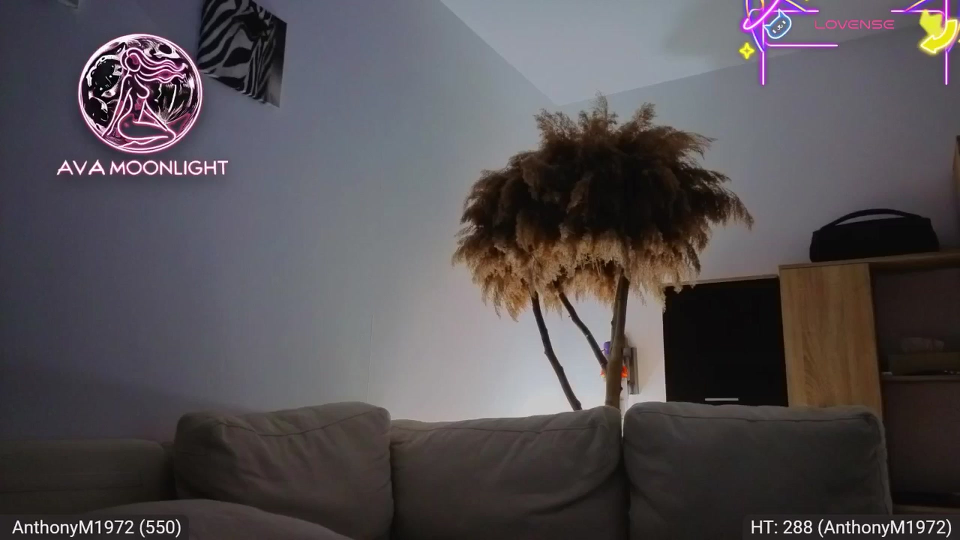 Gallery image thumbnail from AvaMoonlight's myfreecams stream on, 08/15/2025, 23:52 image 18 of 20
