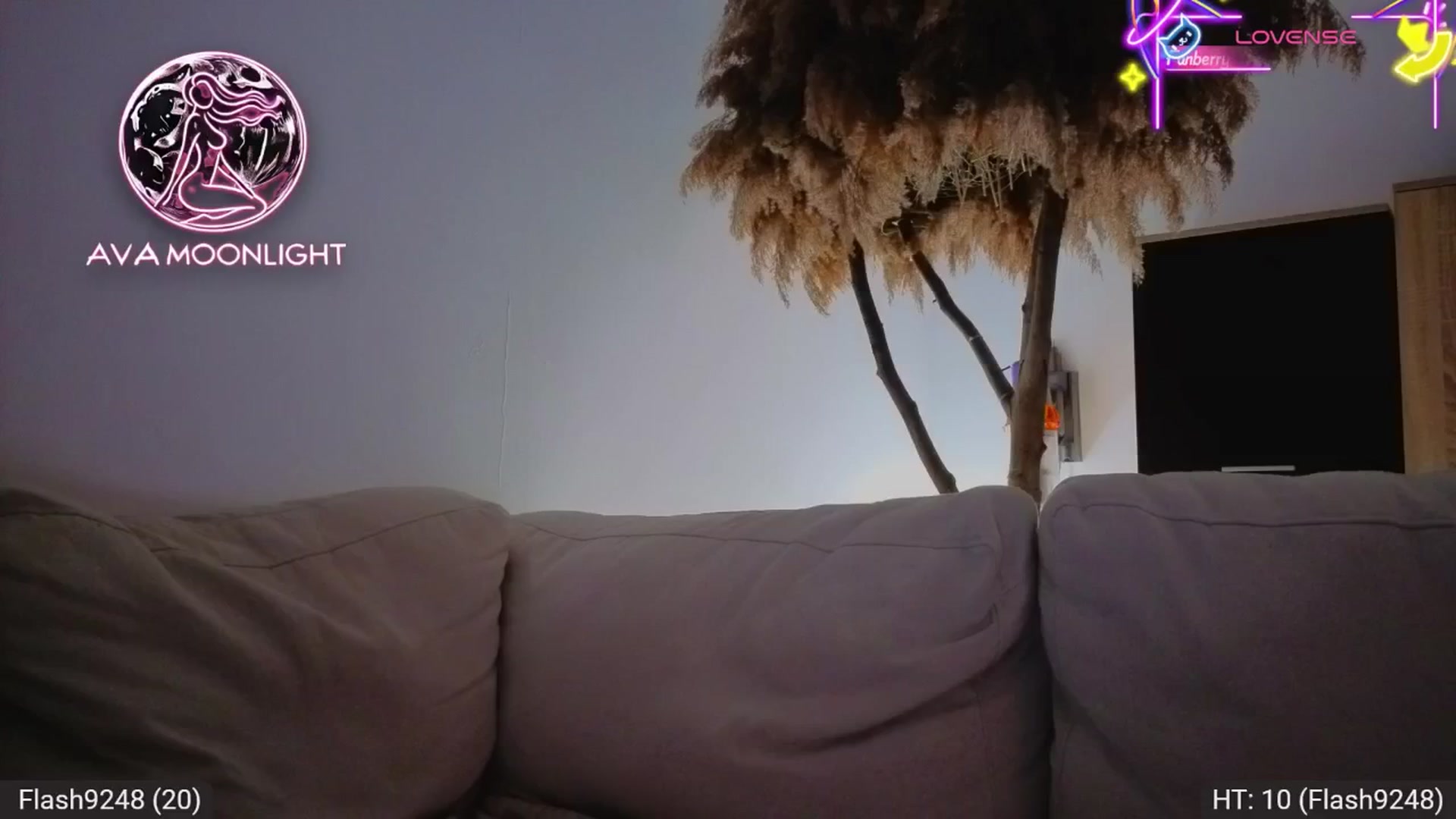 Gallery image thumbnail from AvaMoonlight's myfreecams stream on, 08/17/2025, 22:47 image 17 of 20