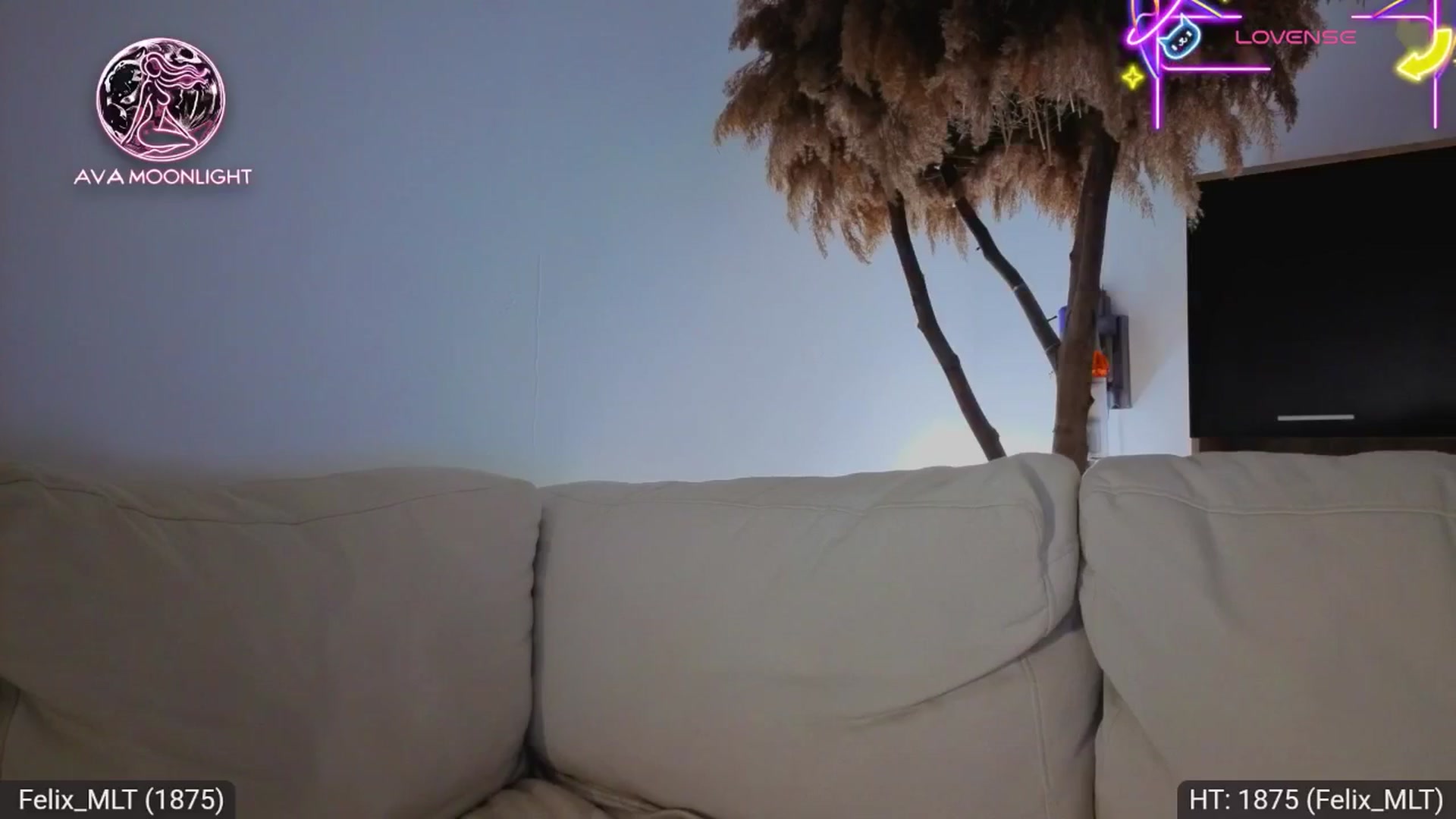 Gallery image thumbnail from AvaMoonlight's myfreecams stream on, 08/30/2025, 23:55 image 19 of 20