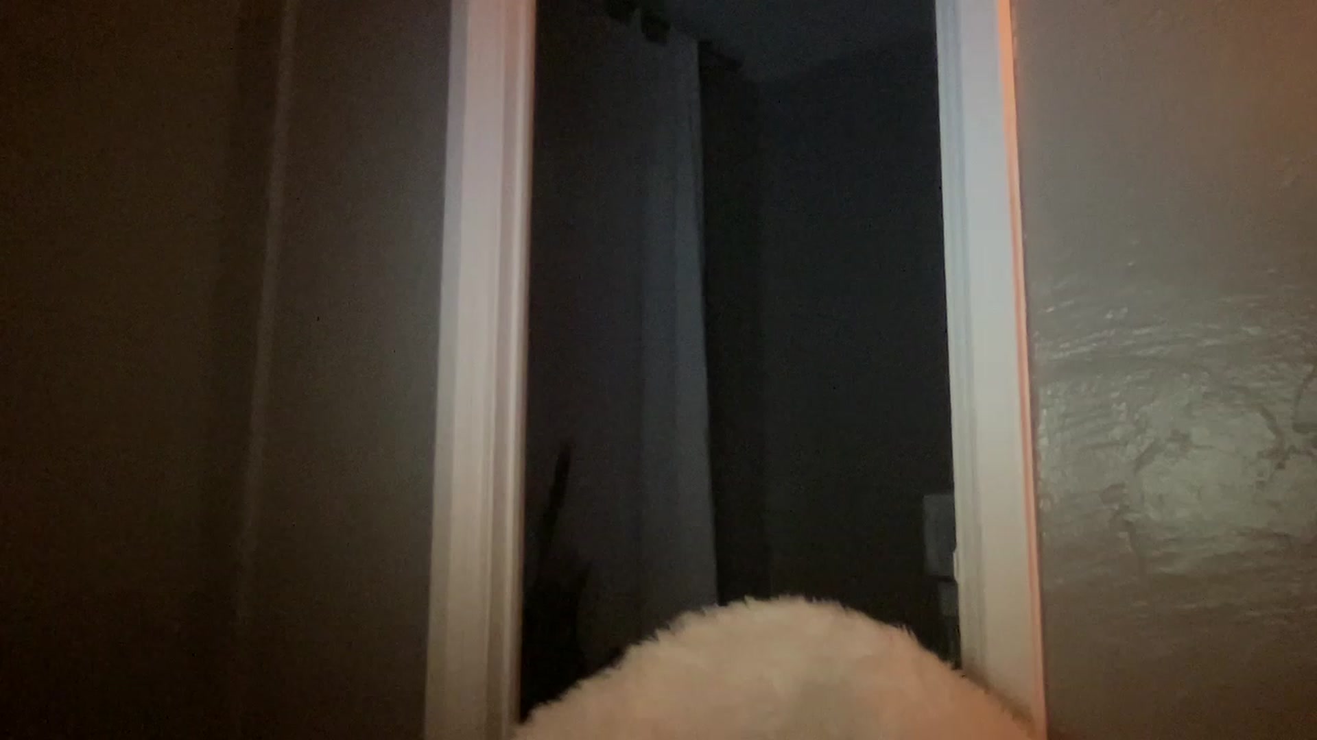 Gallery image thumbnail from AvaTheCreator's myfreecams stream on, 02/17/2023, 02:44 image 10 of 20