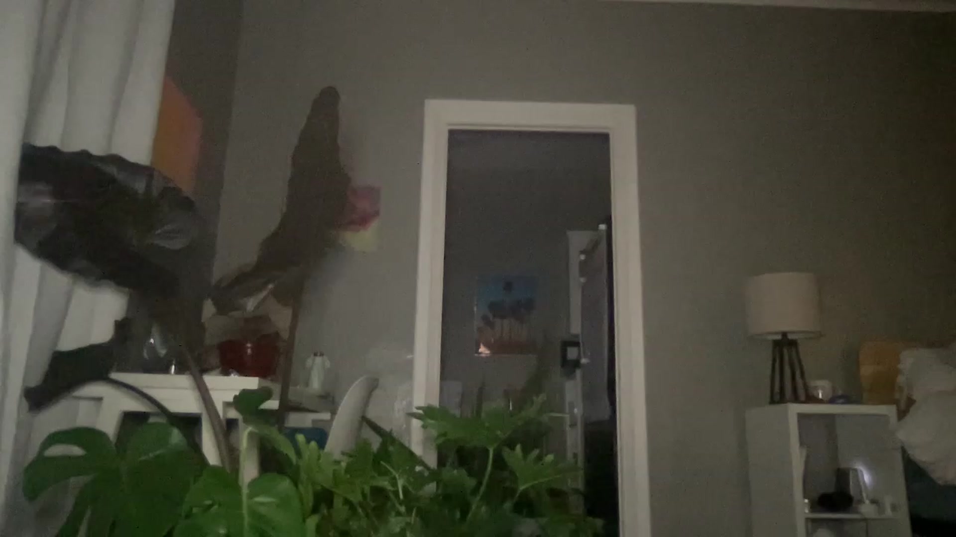 Gallery image thumbnail from AvaTheCreator's myfreecams stream on, 04/10/2023, 02:46 image 17 of 20