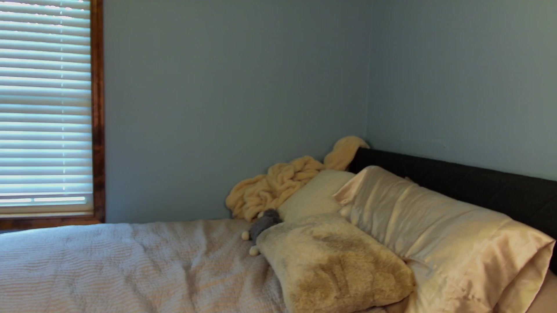 Gallery image thumbnail from Ava____'s myfreecams stream on, 05/12/2025, 20:39 image 13 of 20