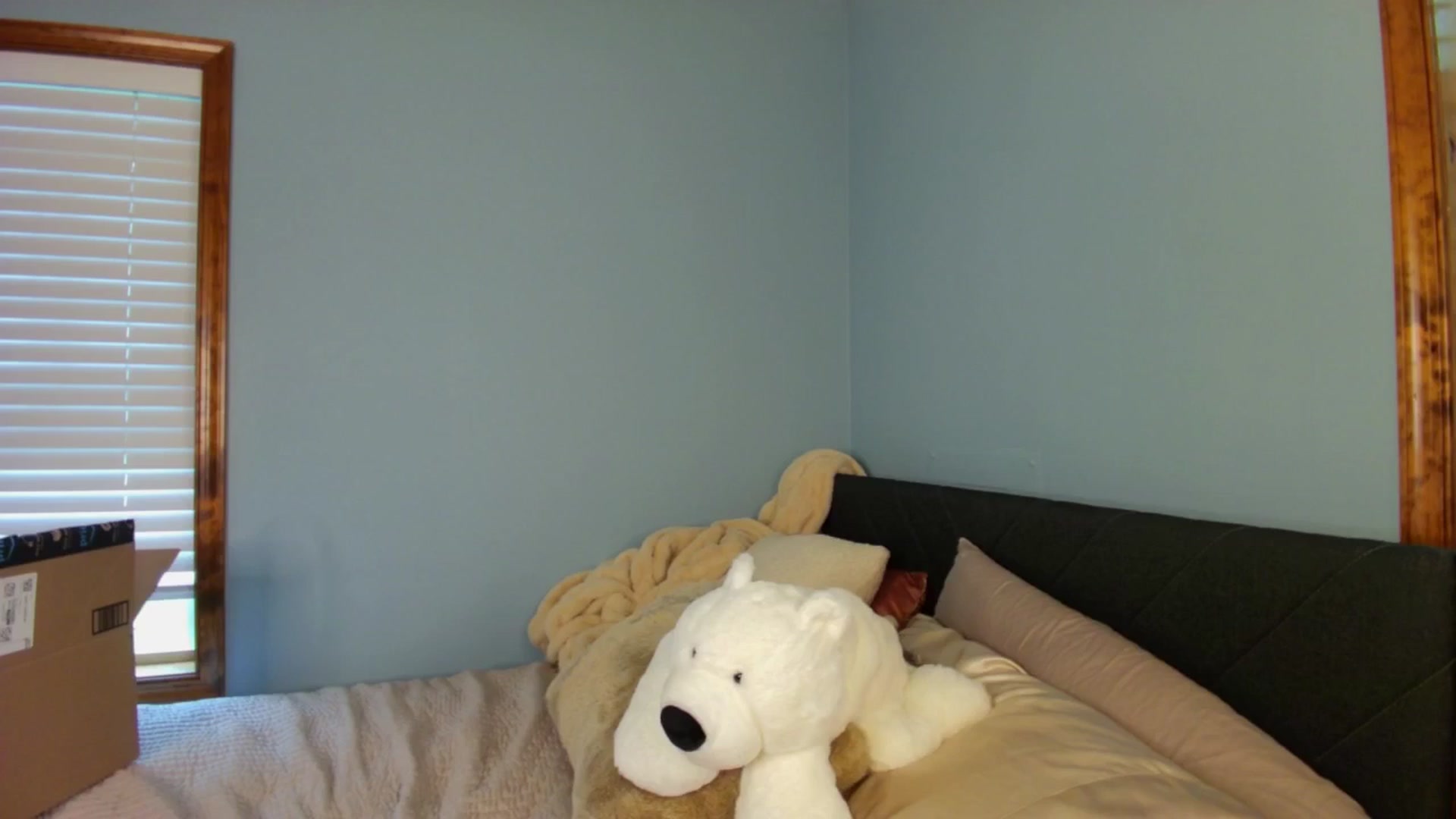 Gallery image thumbnail from Ava____'s myfreecams stream on, 05/12/2025, 21:47 image 13 of 20