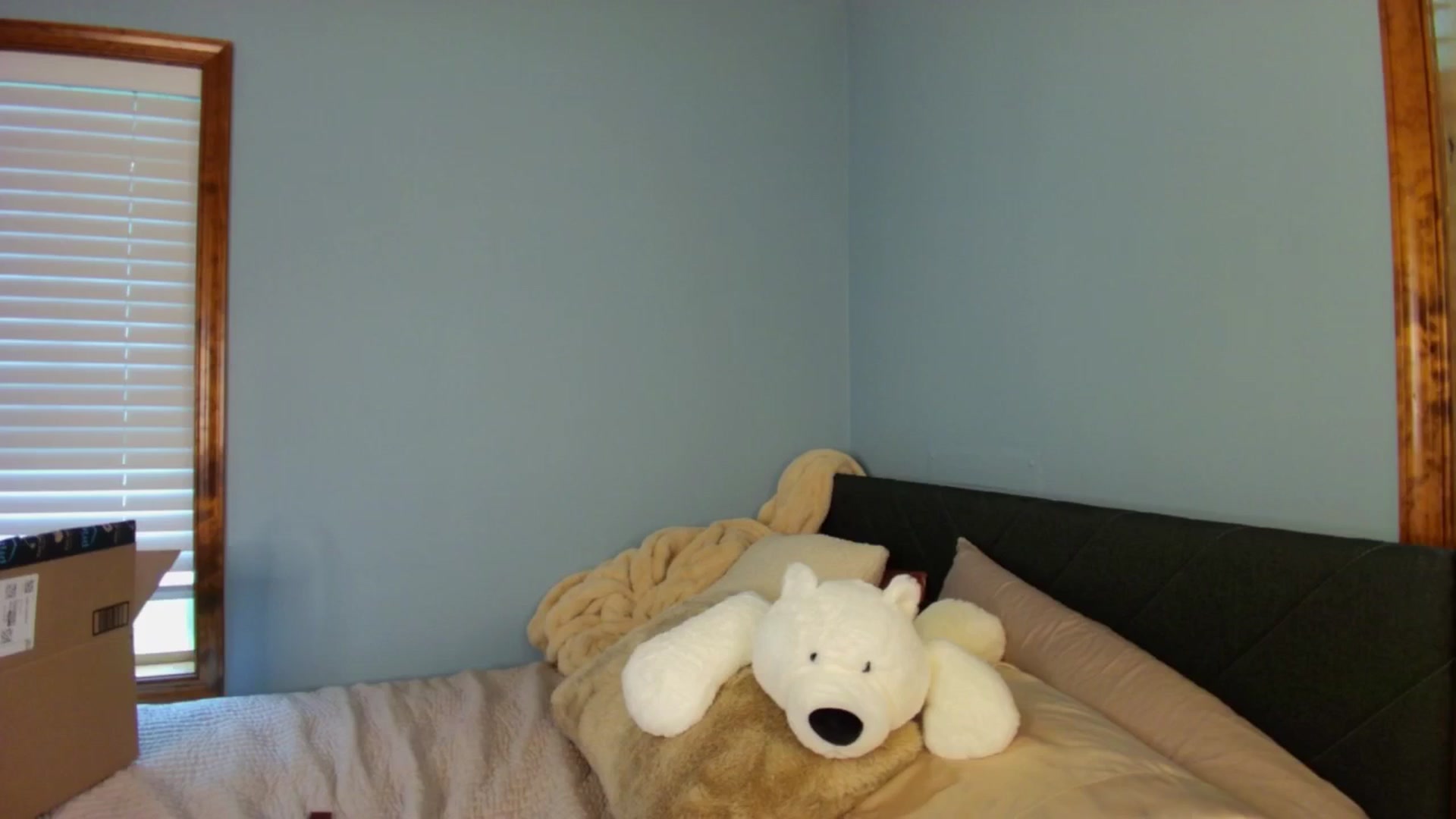Gallery image thumbnail from Ava____'s myfreecams stream on, 05/12/2025, 21:47 image 11 of 20