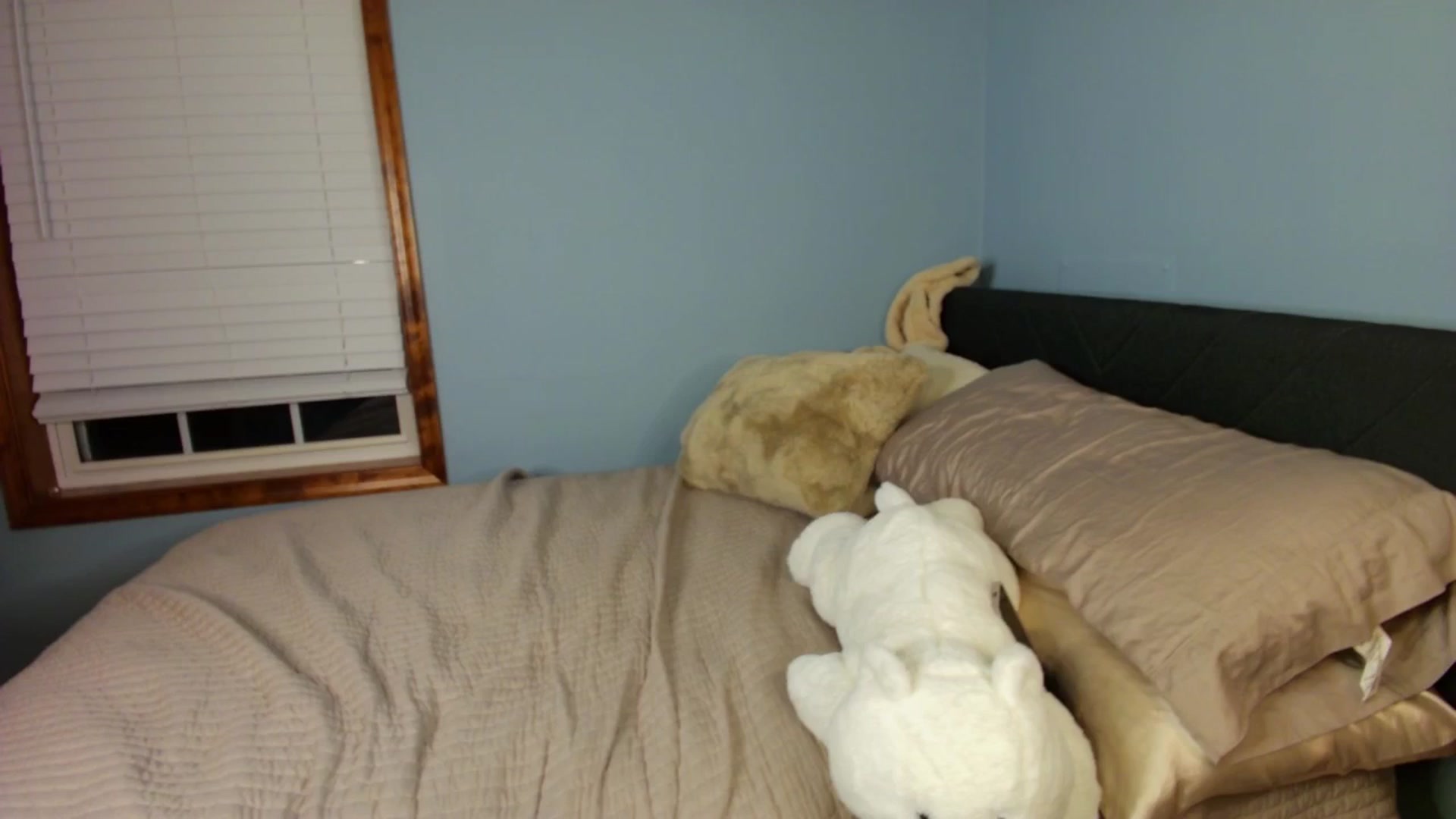 Gallery image thumbnail from Ava____'s myfreecams stream on, 05/13/2025, 01:25 image 10 of 20