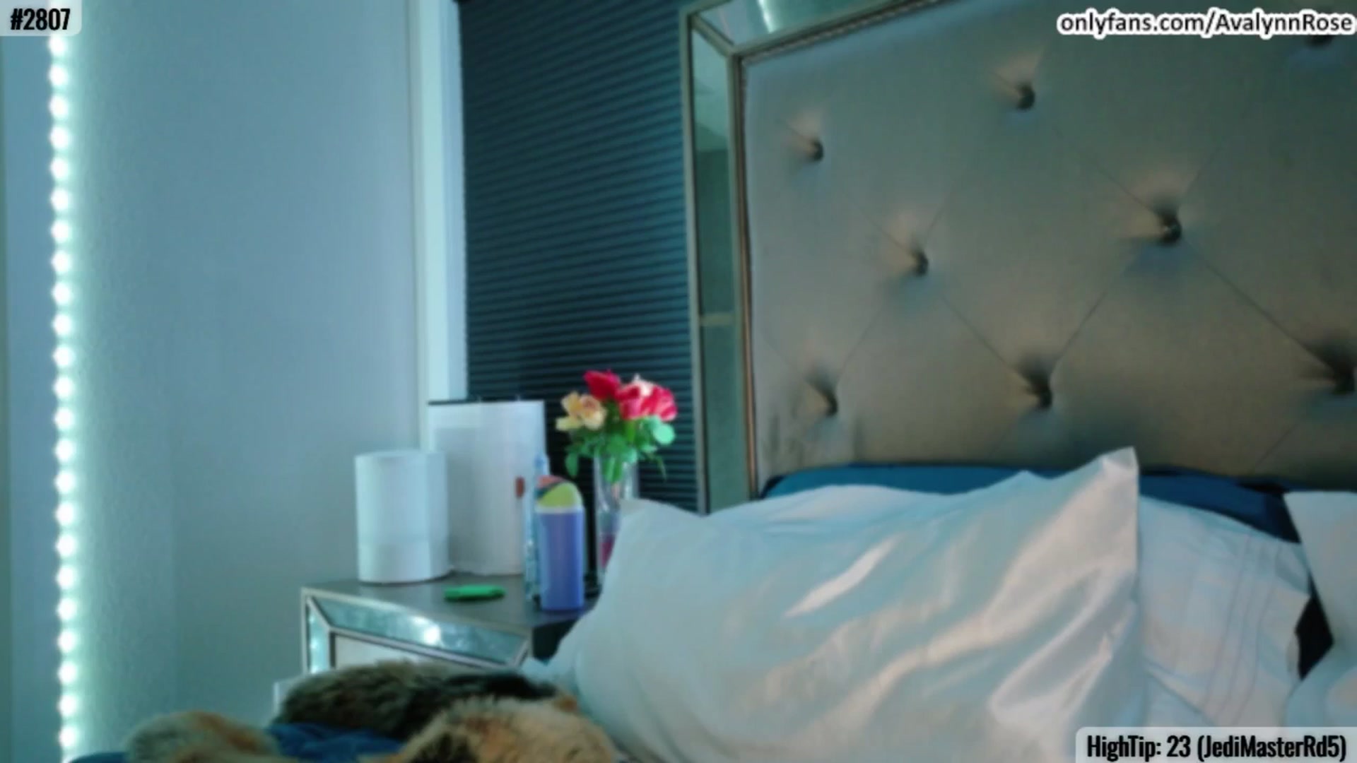 Gallery image thumbnail from AvalynnRose's myfreecams stream on, 03/02/2025, 05:42 image 6 of 20