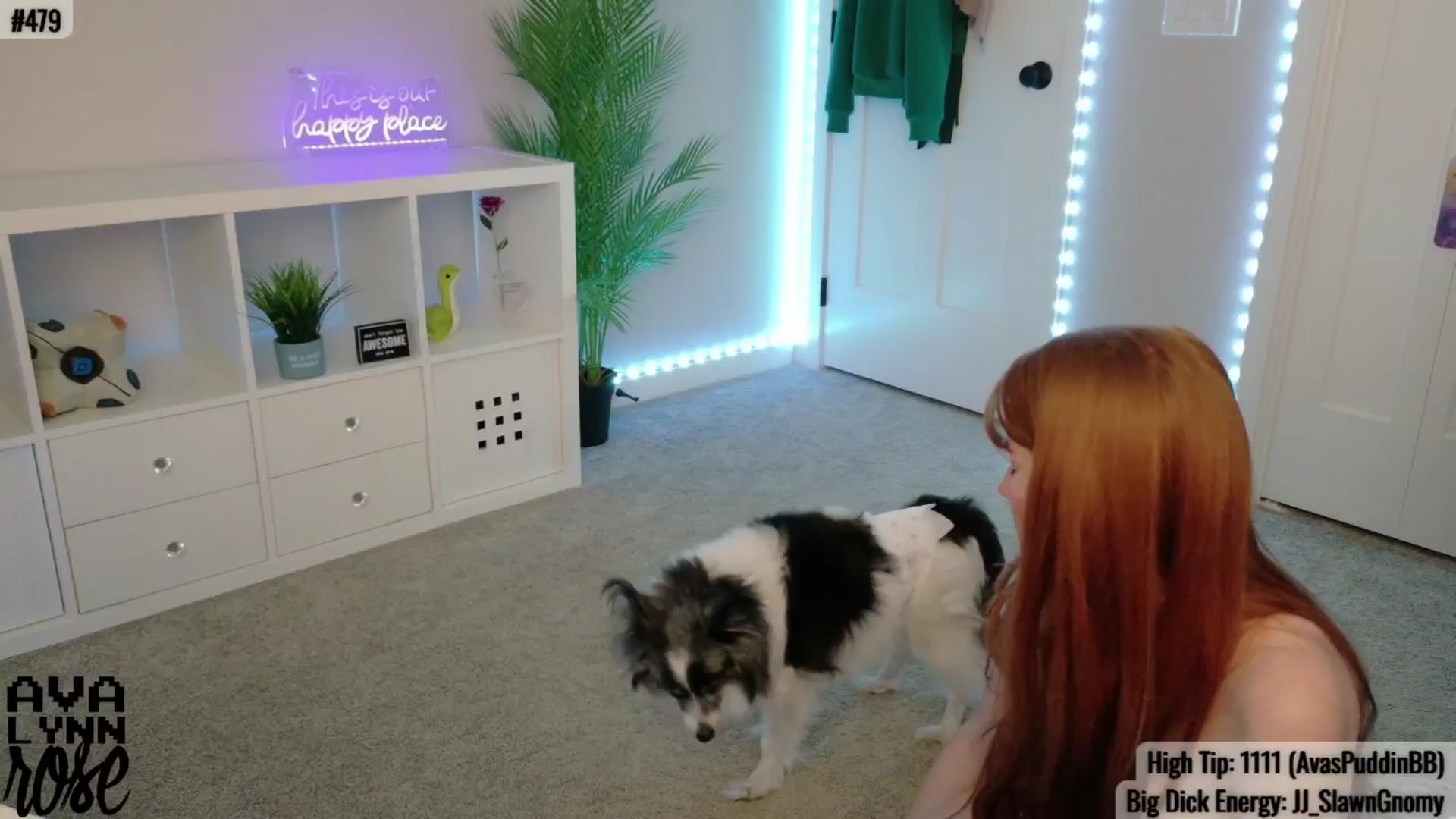 Gallery image thumbnail from AvalynnRose's myfreecams stream on, 07/04/2025, 05:24 image 9 of 20