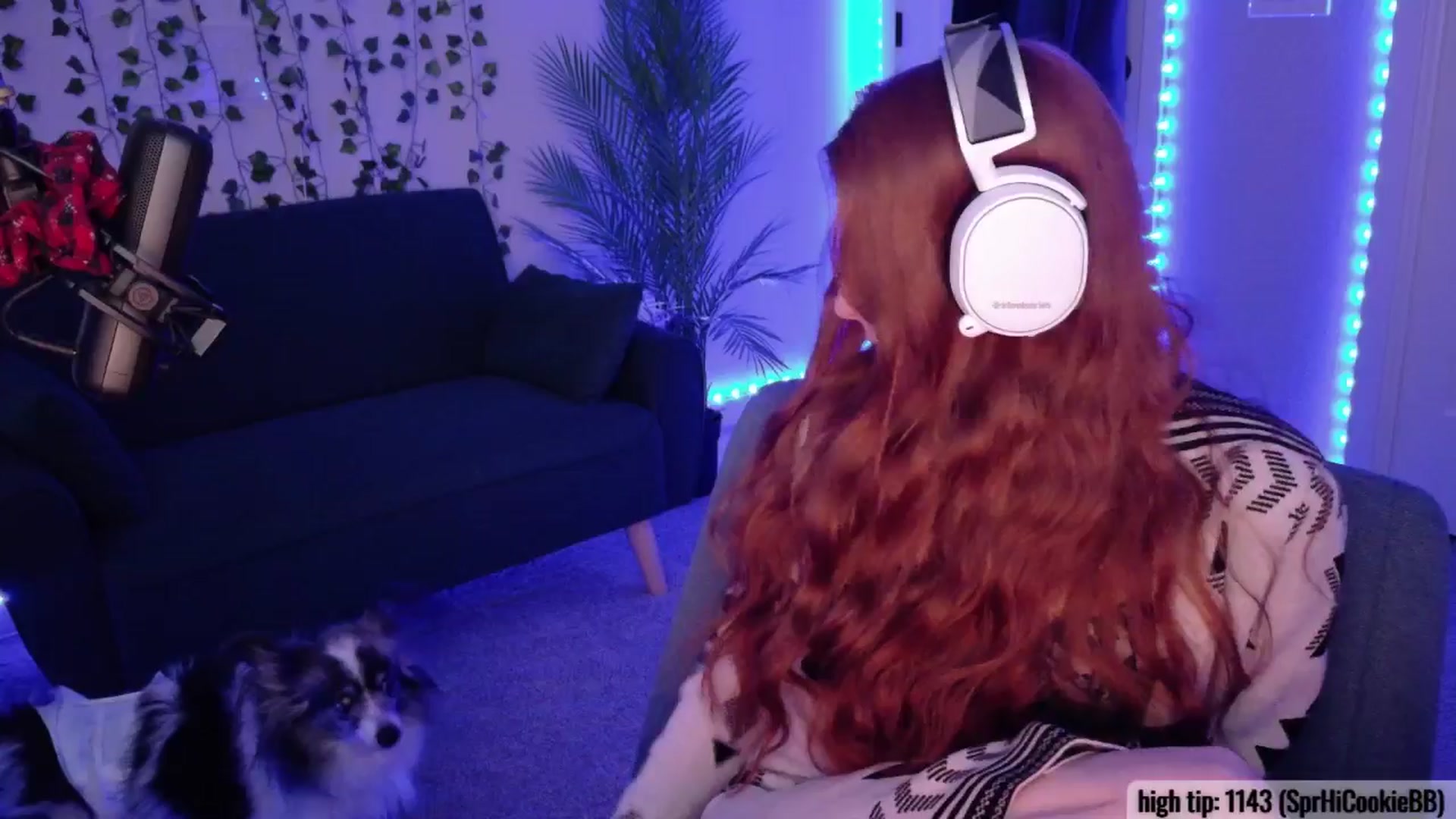 Gallery image thumbnail from AvalynnRose's myfreecams stream on, 02/01/2026, 07:09 image 13 of 20