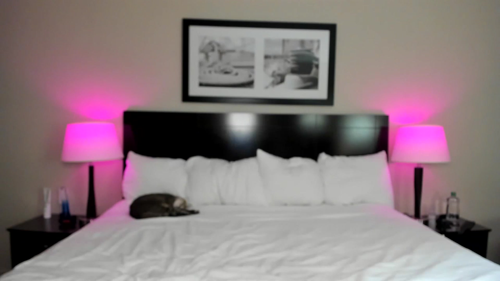 Gallery image thumbnail from AvaxGreen's myfreecams stream on, 11/28/2022, 02:02 image 9 of 20