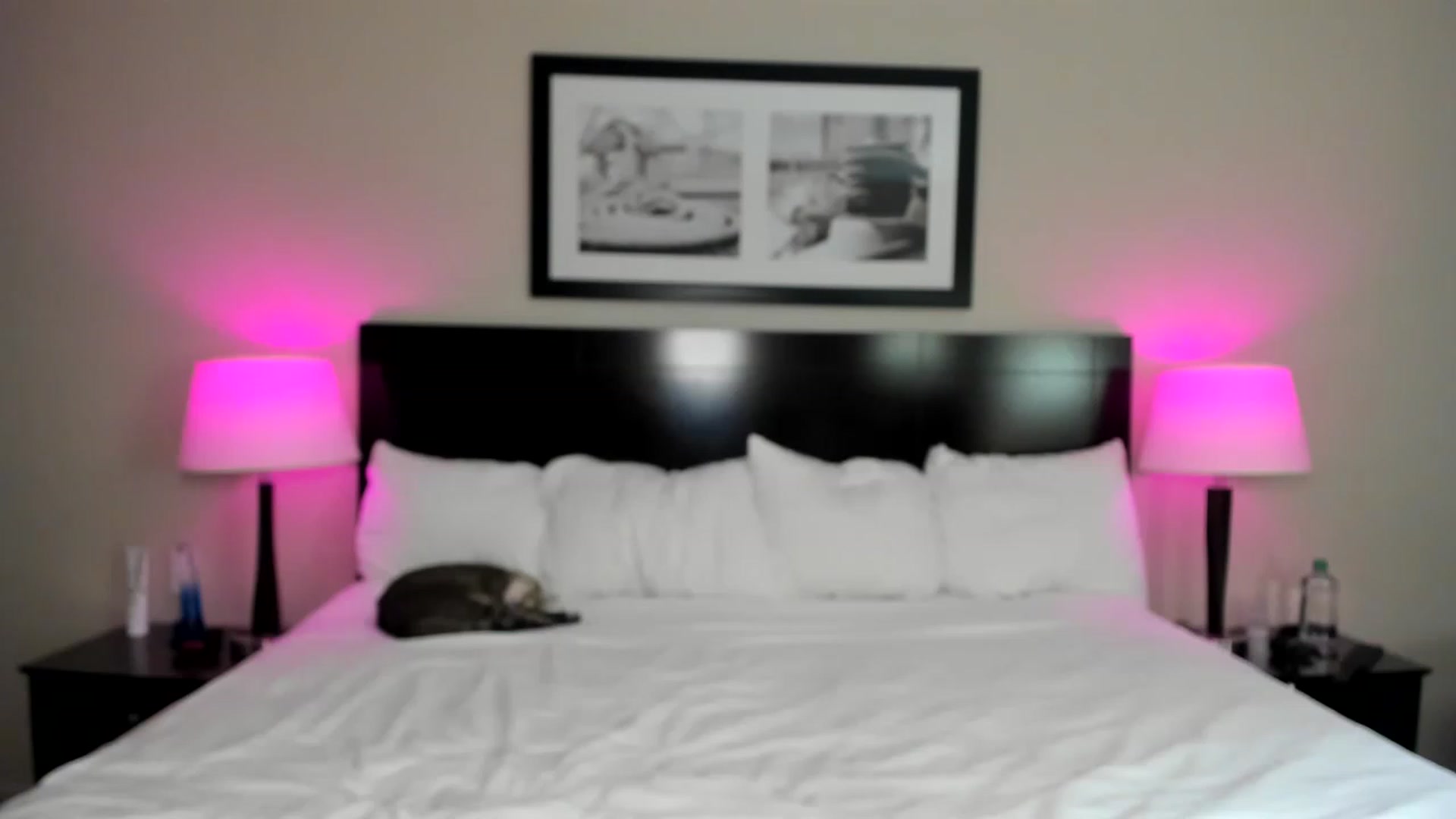 Gallery image thumbnail from AvaxGreen's myfreecams stream on, 11/28/2022, 02:02 image 8 of 20