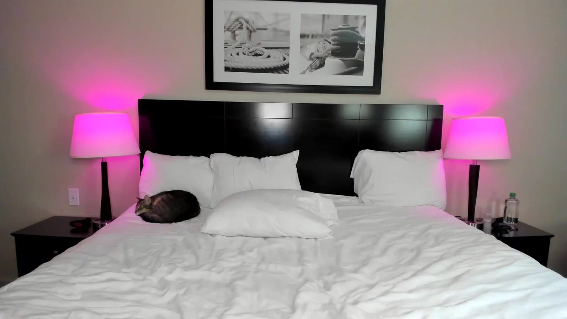 Gallery image thumbnail from AvaxGreen's myfreecams stream on, 11/28/2022, 05:29 image 14 of 20