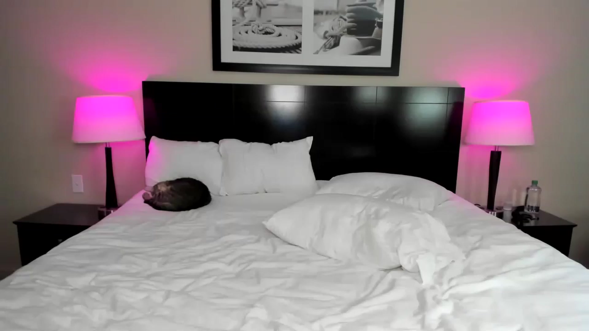 Gallery image thumbnail from AvaxGreen's myfreecams stream on, 11/28/2022, 05:29 image 20 of 20