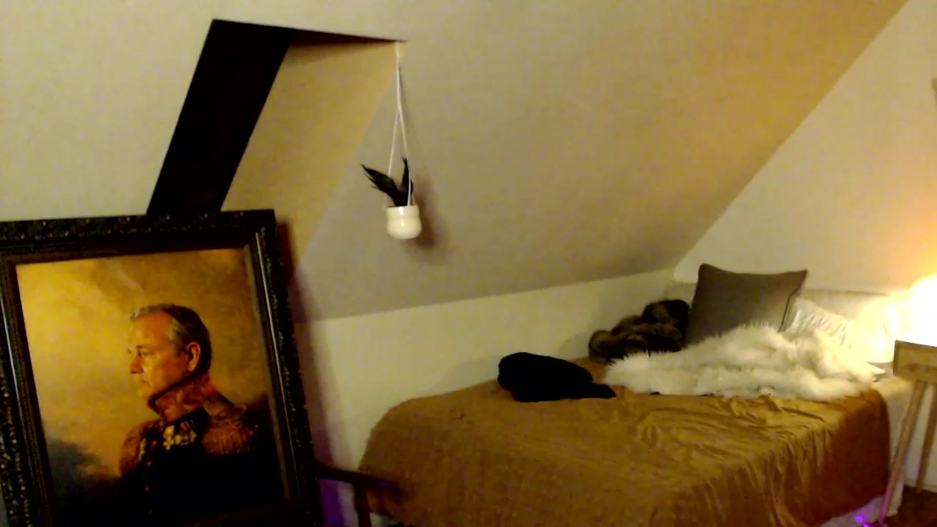 Gallery image thumbnail from Avery_Blake's myfreecams stream on, 07/08/2023, 06:44 image 19 of 20