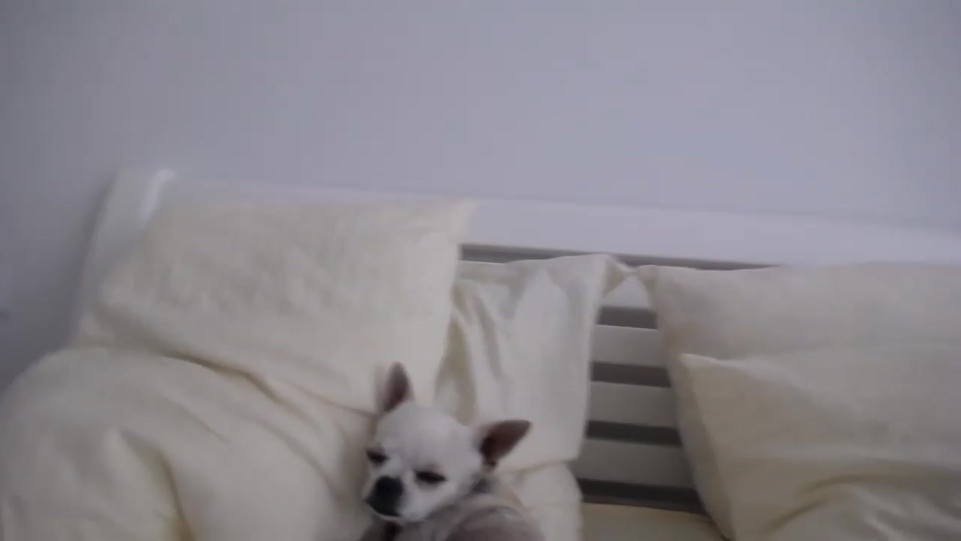 Gallery image thumbnail from AvrilDollX's myfreecams stream on, 06/15/2023, 05:40 image 15 of 20