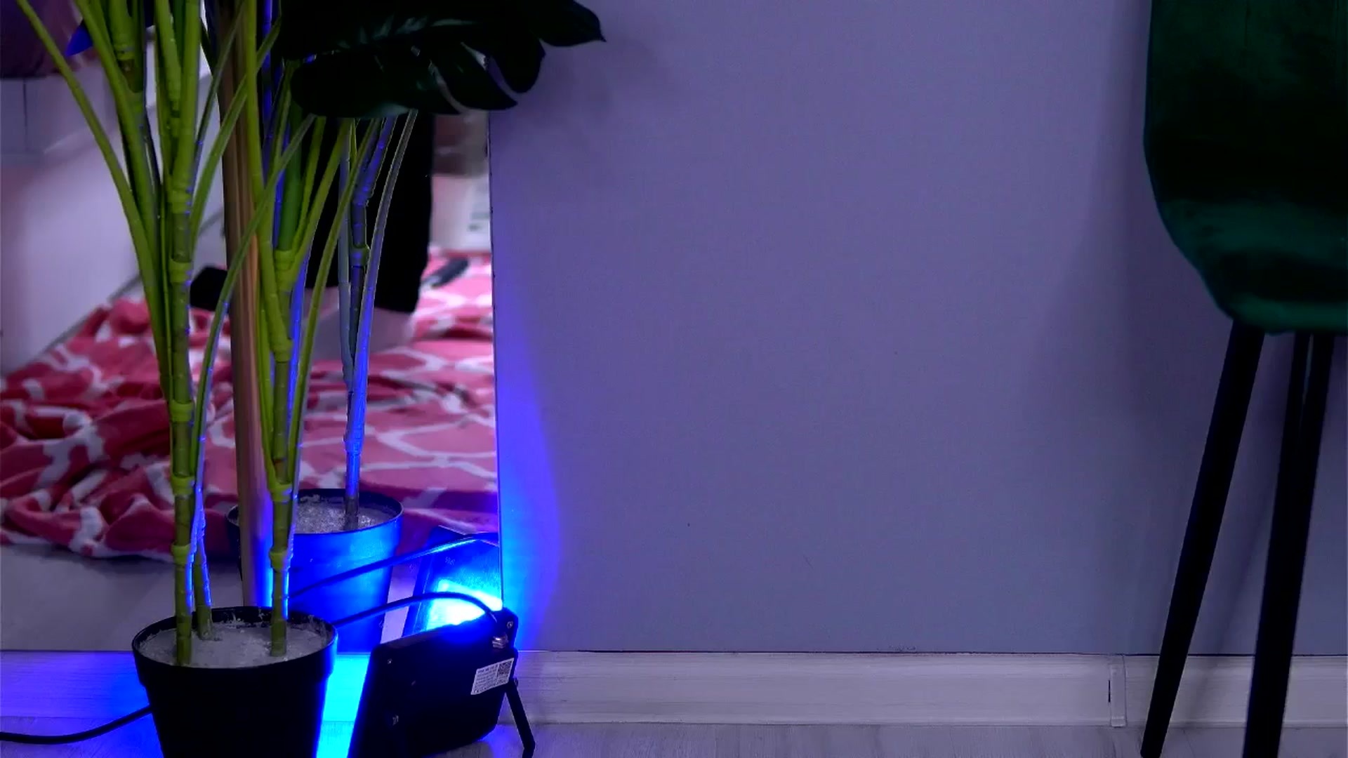 Gallery image thumbnail from AwaLynch's myfreecams stream on, 02/24/2026, 12:08 image 20 of 20