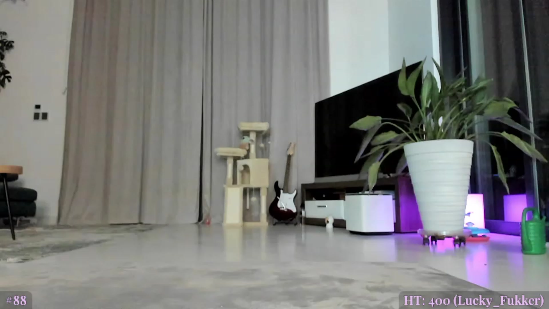 Gallery image thumbnail from AweJolie's myfreecams stream on, 02/18/2023, 01:28 image 10 of 20