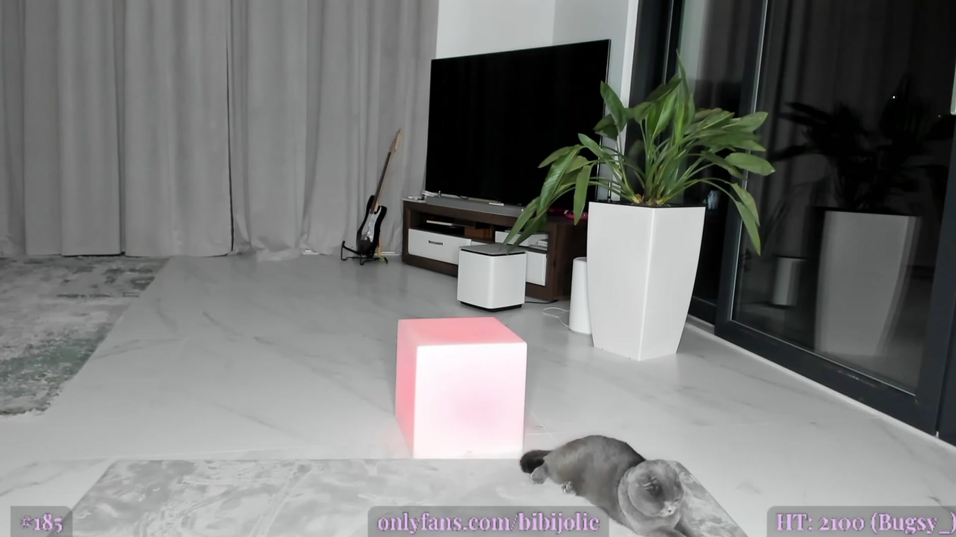 Gallery image thumbnail from AweJolie's myfreecams stream on, 03/09/2023, 04:27 image 13 of 20