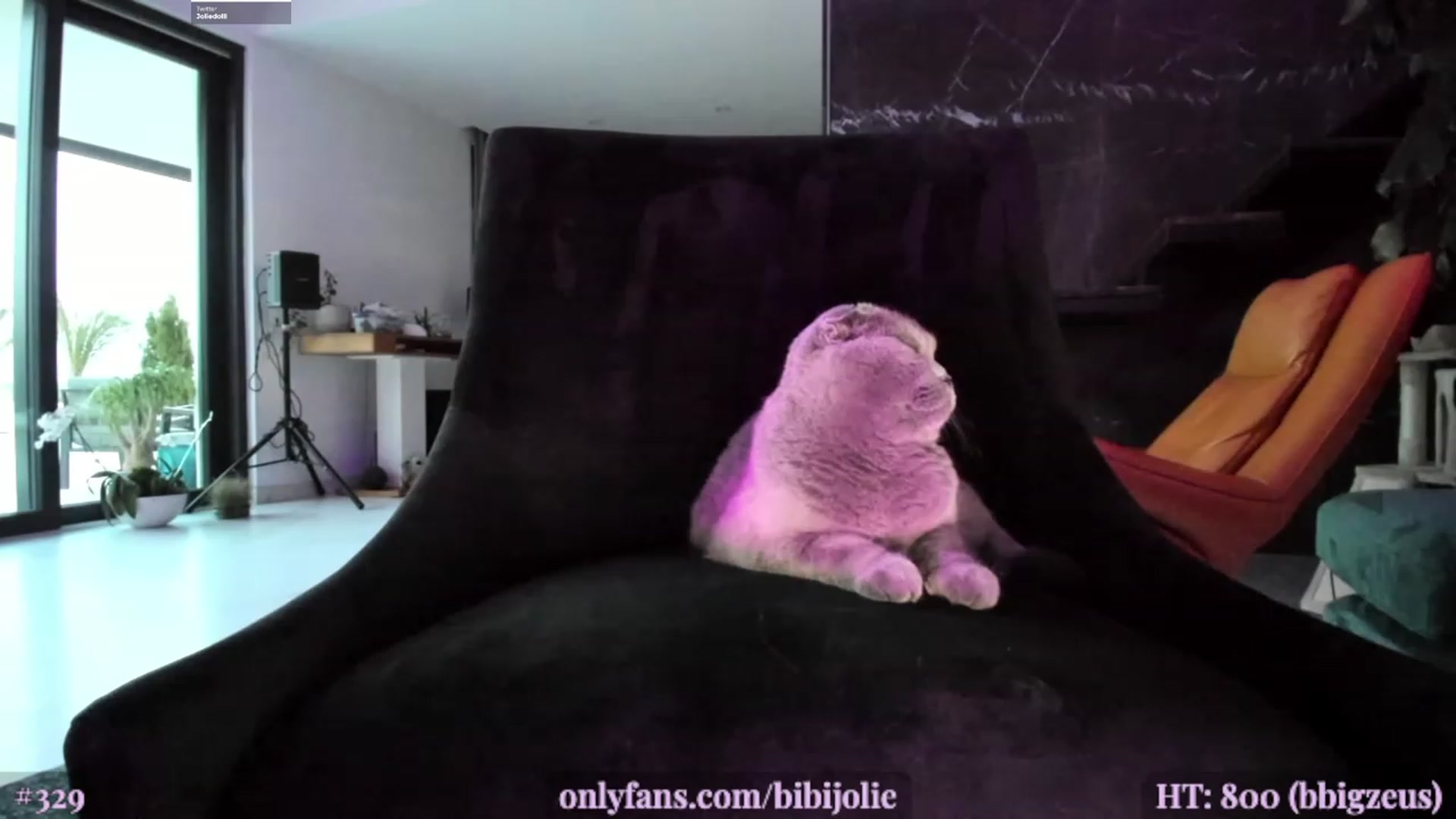 Gallery image thumbnail from AweJolie's myfreecams stream on, 06/07/2023, 02:59 image 17 of 20