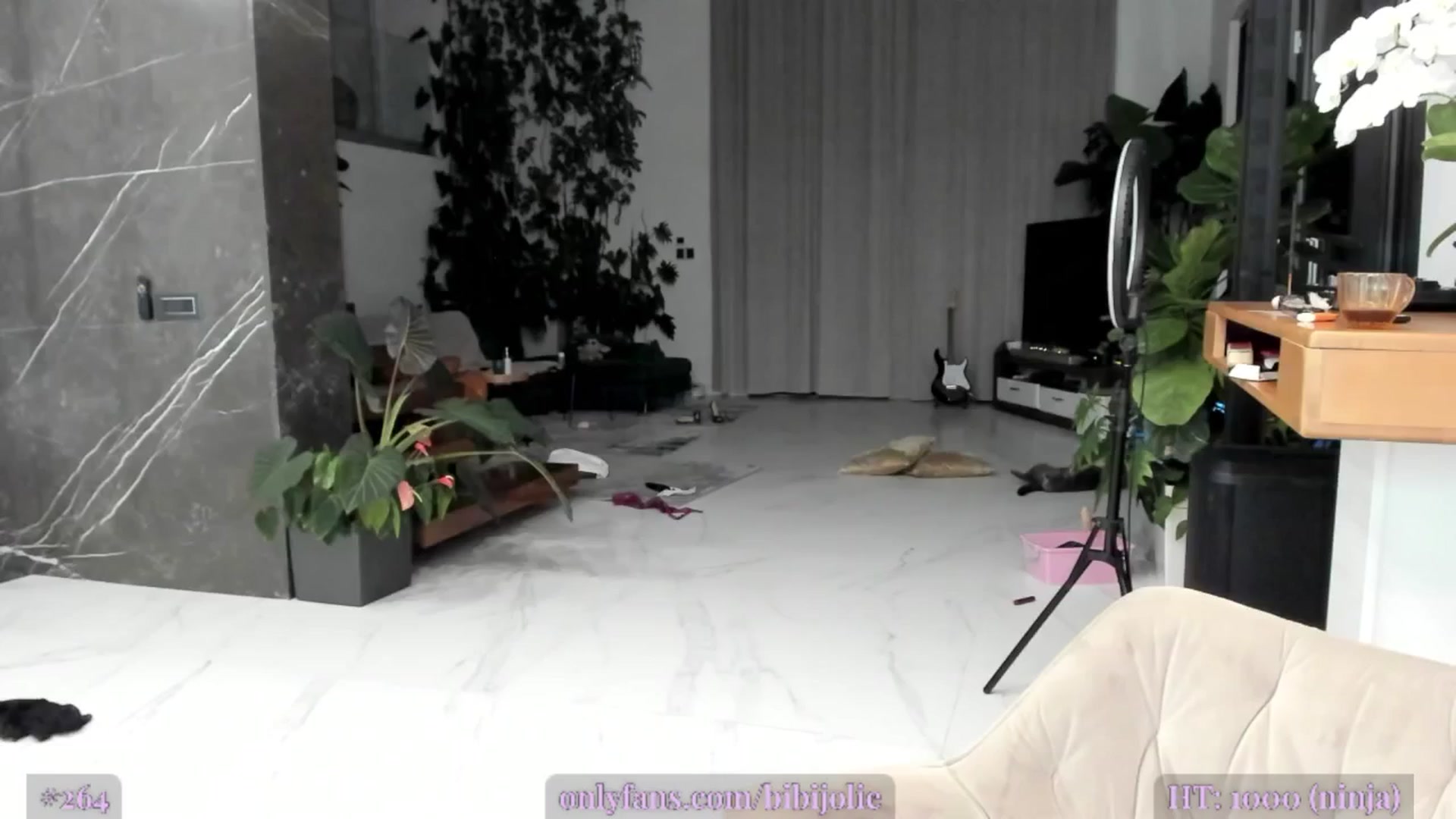 Gallery image thumbnail from AweJolie's myfreecams stream on, 03/20/2025, 02:18 image 13 of 20