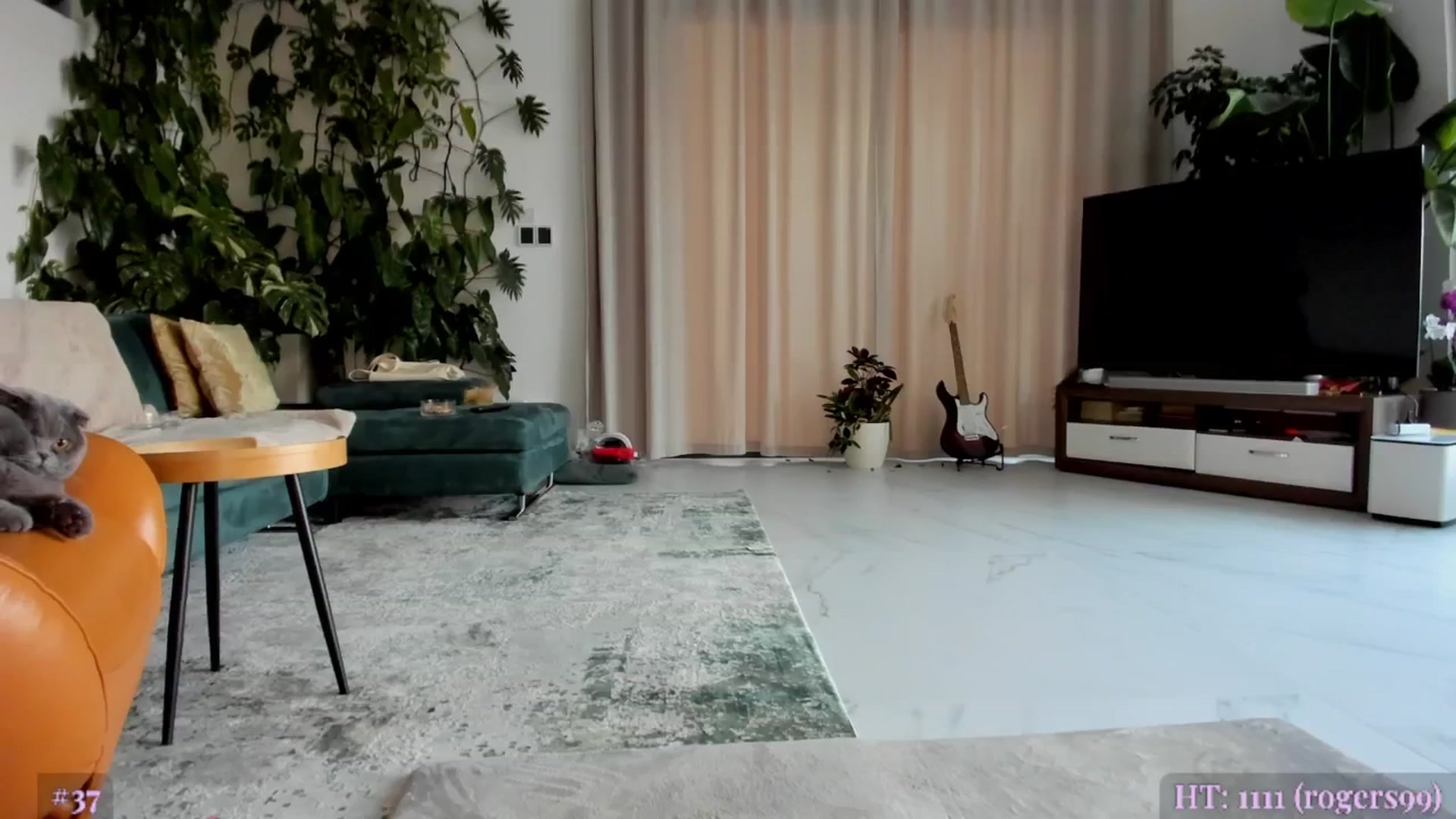 Gallery image thumbnail from AweJolie's myfreecams stream on, 08/03/2025, 04:01 image 18 of 20