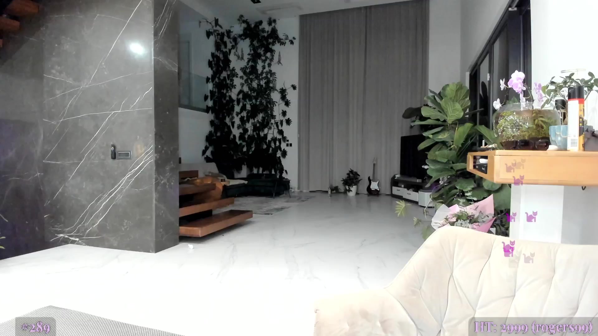 Gallery image thumbnail from AweJolie's myfreecams stream on, 09/22/2025, 24:03 image 19 of 20