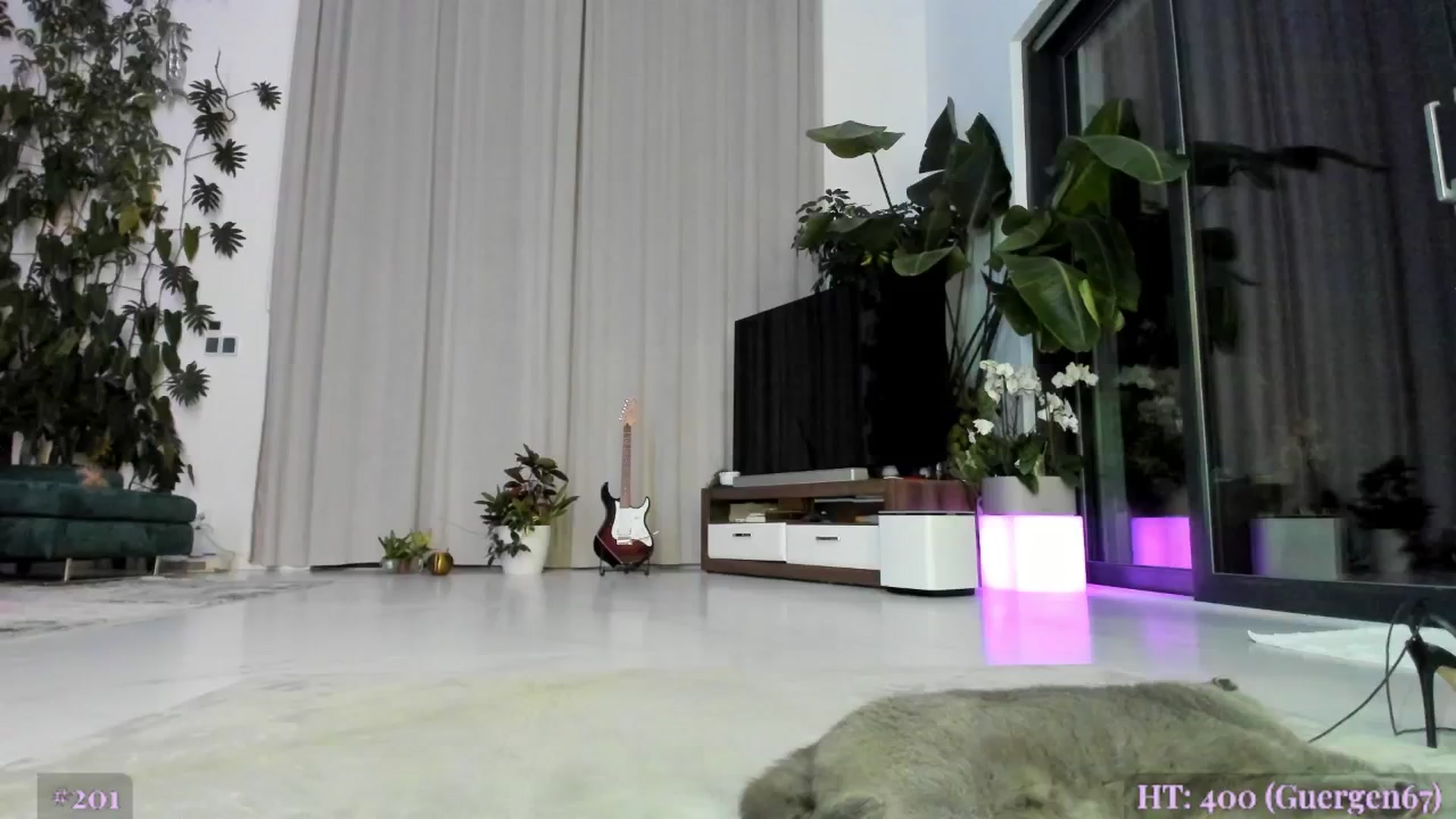 Gallery image thumbnail from AweJolie's myfreecams stream on, 09/25/2025, 01:44 image 12 of 20