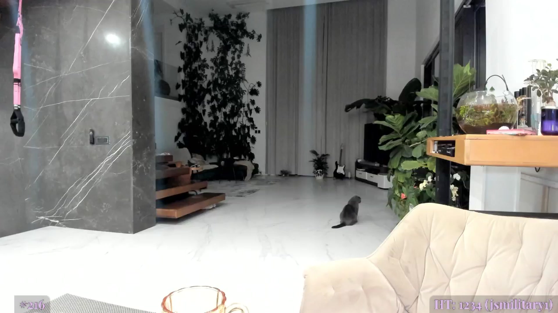 Gallery image thumbnail from AweJolie's myfreecams stream on, 11/01/2025, 03:22 image 5 of 20