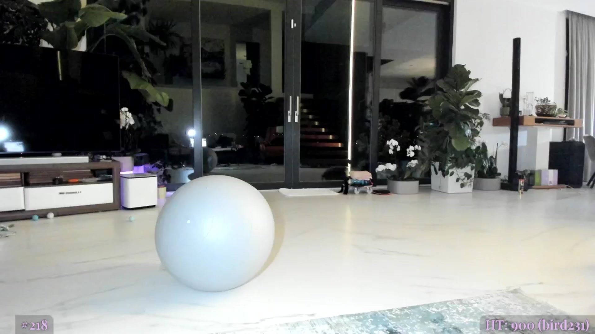Gallery image thumbnail from AweJolie's myfreecams stream on, 11/04/2025, 02:06 image 3 of 20